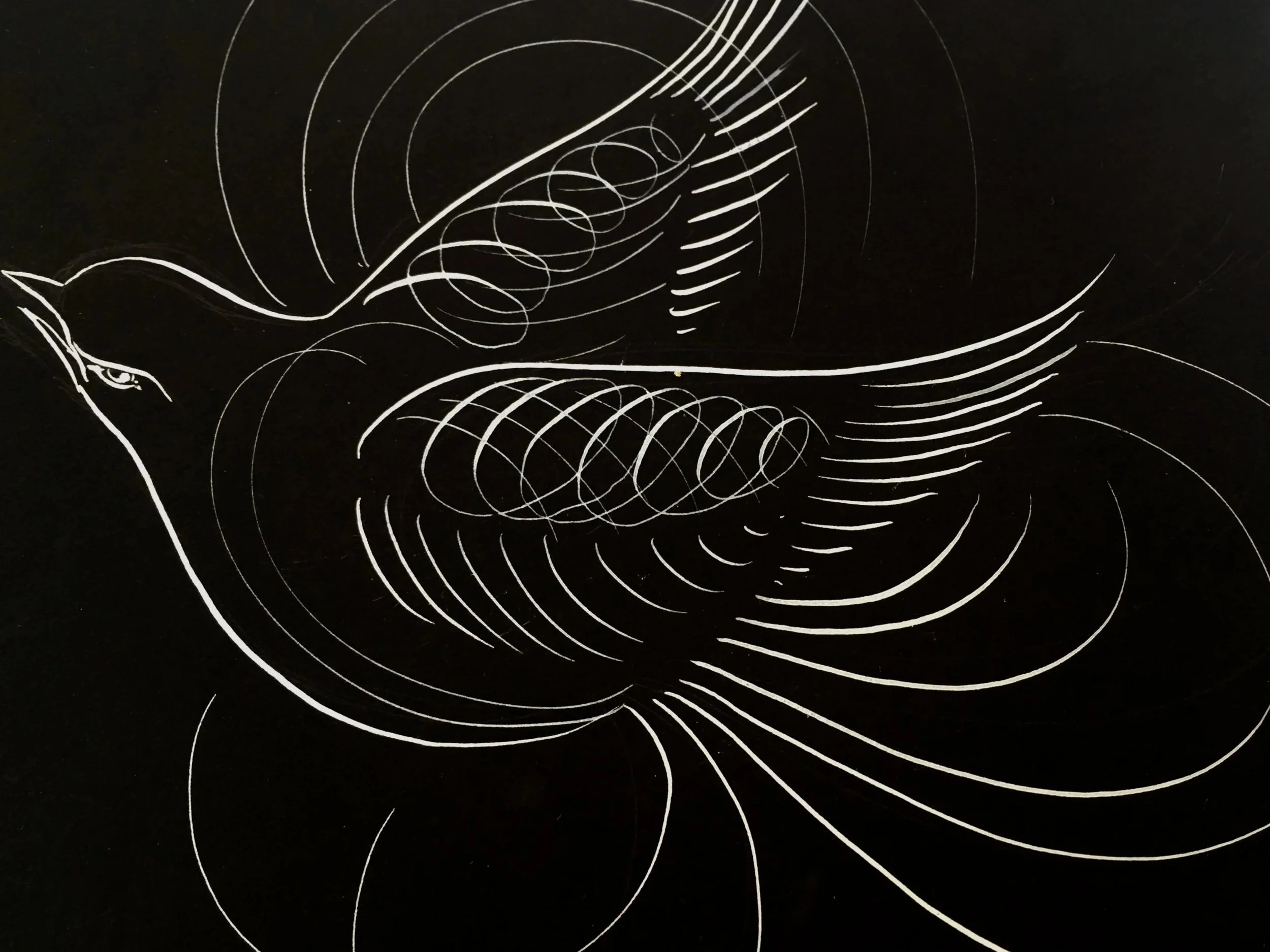 Line drawing of an elephant on a black background, with intricate white lines outlining its head, ears, trunk, and tusks.