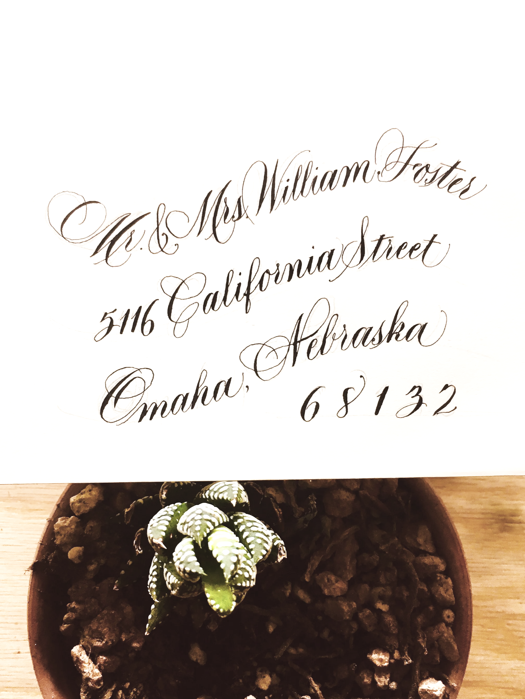 A small potted succulent plant with green leaves and white spots, placed on a wooden surface, with a handwritten envelope resting on top of the pot, addressed to Mr. & Mrs. William Foster at 5146 California Street, Omaha, Nebraska, 68132.