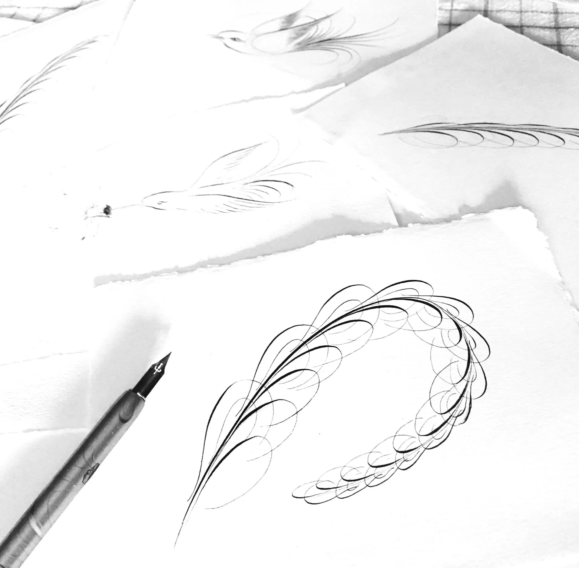 Sketches of feathers, a bird, and a circular design on textured paper with a pen nearby.