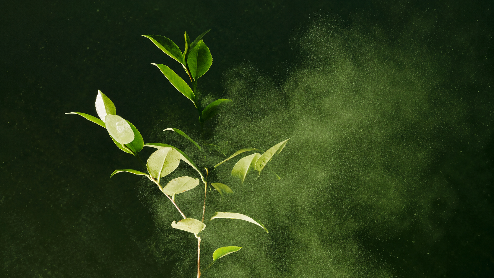 Benefiber: Grow What Feels Good