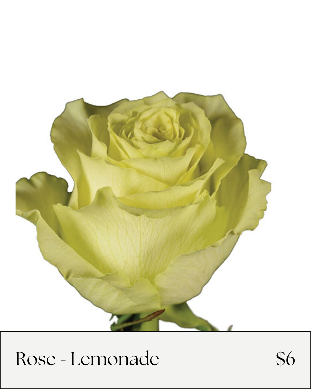 Rose Lemonade.png