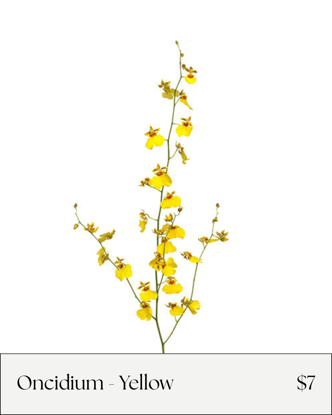 Flower Bar Online Menu - White Rose (2).png