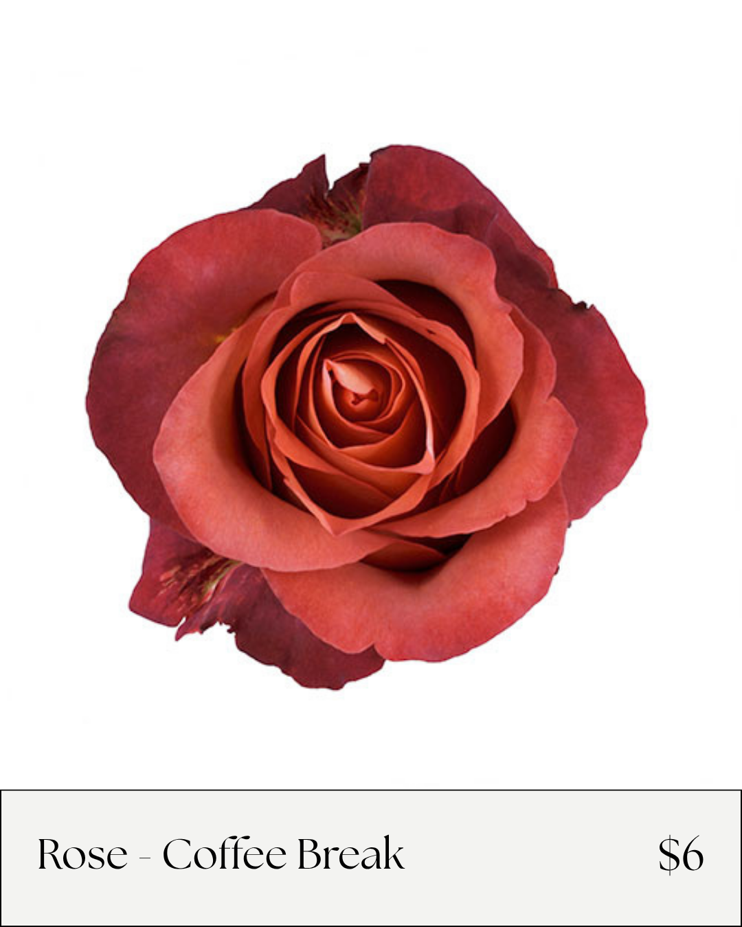 Rose Coffee.png
