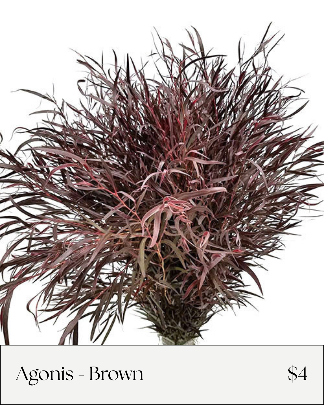 Flower Bar Online Menu - Agonis.png