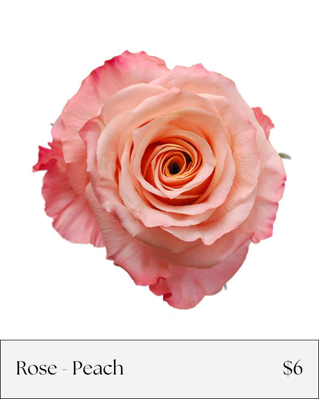 Flower Bar Online Menu - Rose Peach.png