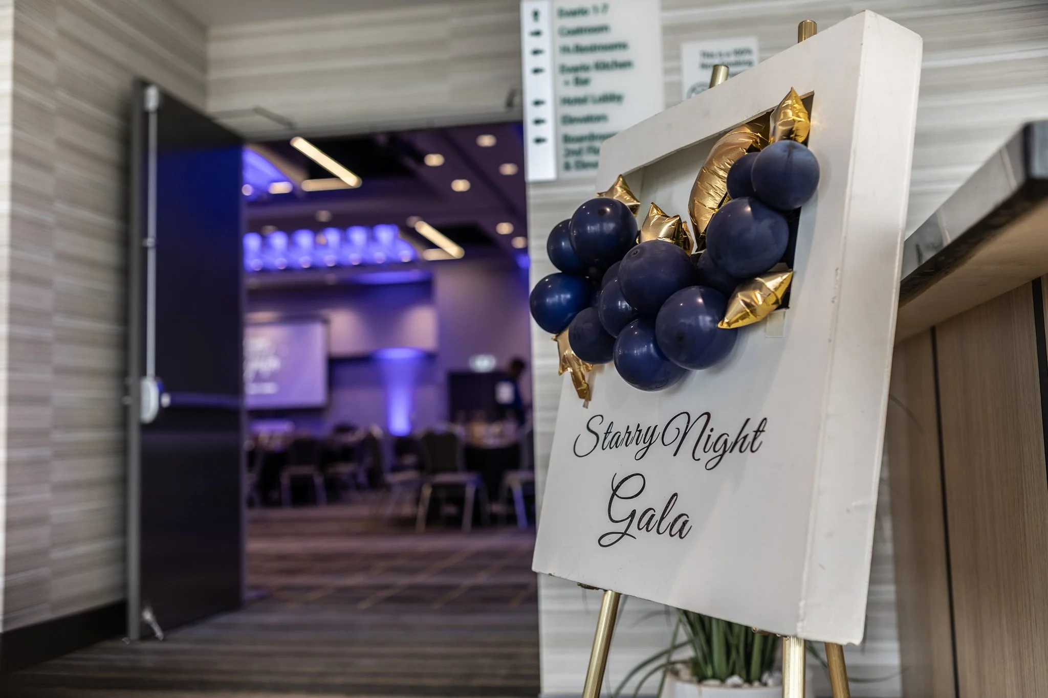 2026 Starry Night Gala