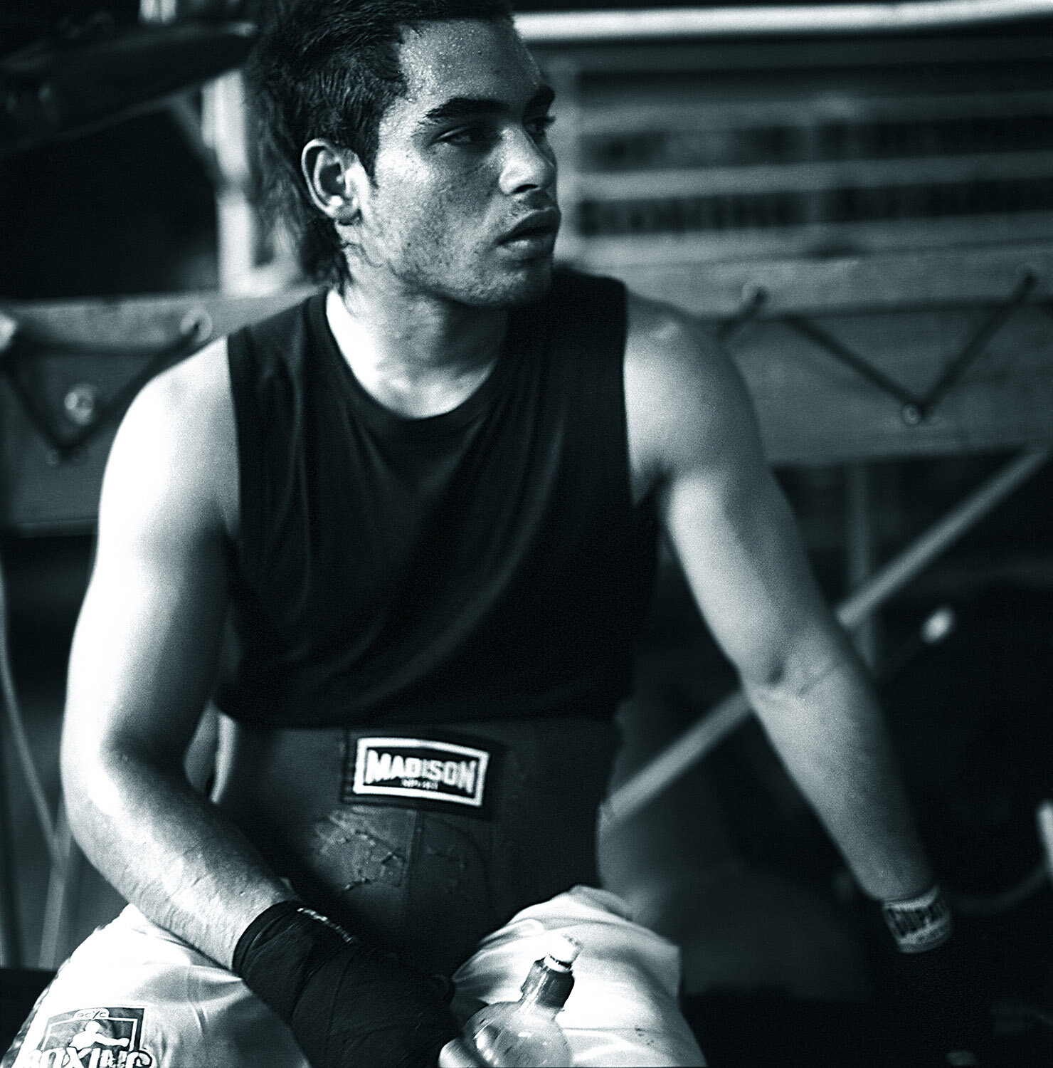 BOXER-WED.jpg