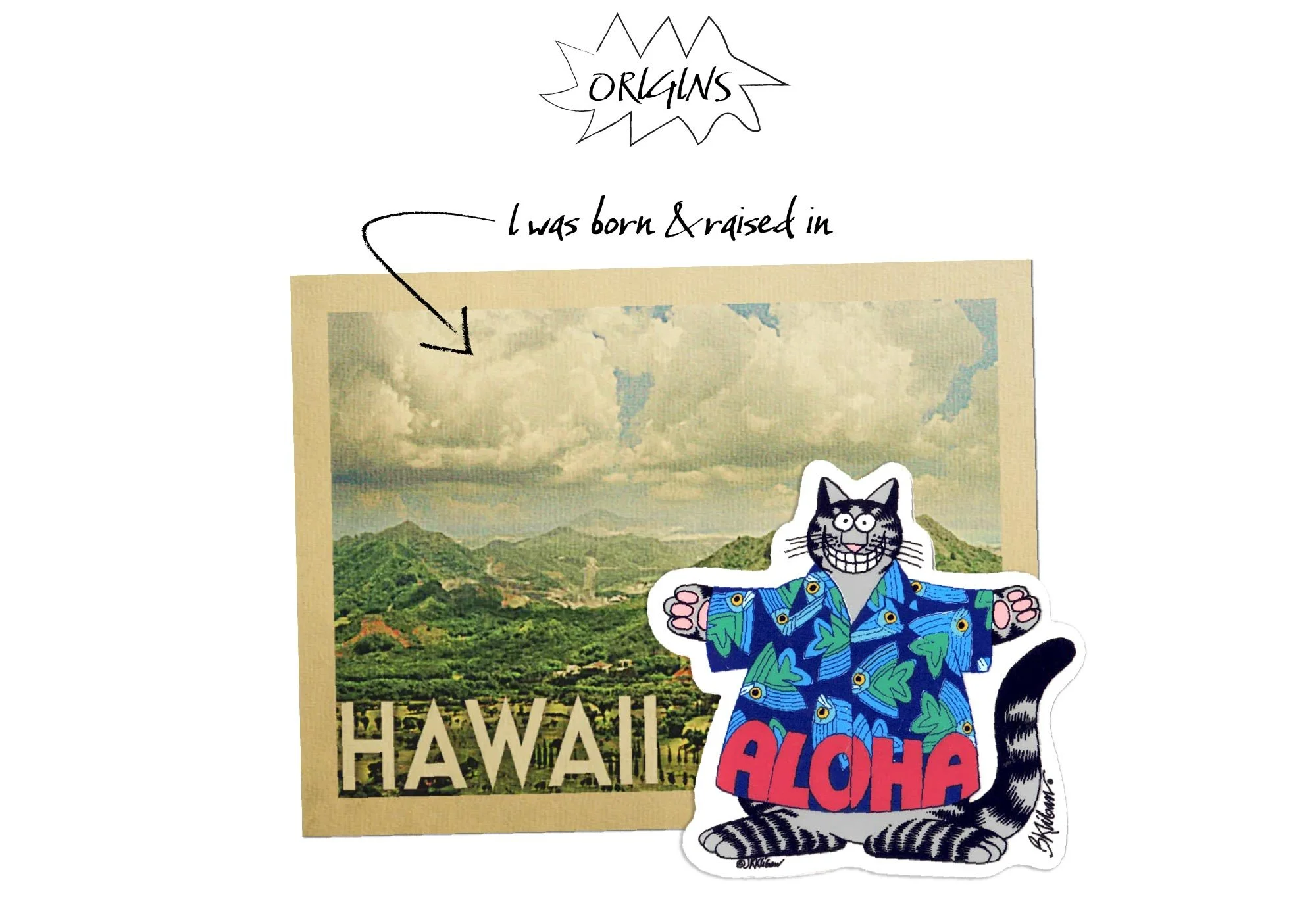 A visual collage featuring a vintage Hawaii landscape postcard with lush green mountains, clouds, and the word "Hawaii" at the bottom. Overlaid is a cartoon-style sticker of a grinning black-and-white cat wearing a blue Hawaiian shirt with green leaf patterns and the word "Aloha" in red beneath it.