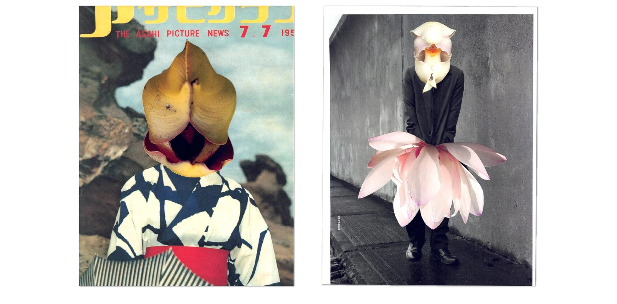 Two surreal images of persons with flower heads. The left image shows a person wearing a kimono with a newspaper head replaced by a large, yellow, rose-shaped flower face. The background is an outdoor scene with rocks and sky. The right image shows a person standing in front of a concrete wall, with their head replaced by a white and pink flower resembling an orchid, and their body dressed in a black jacket with a large pink flower skirt. The person’s face is obscured by the flower head.