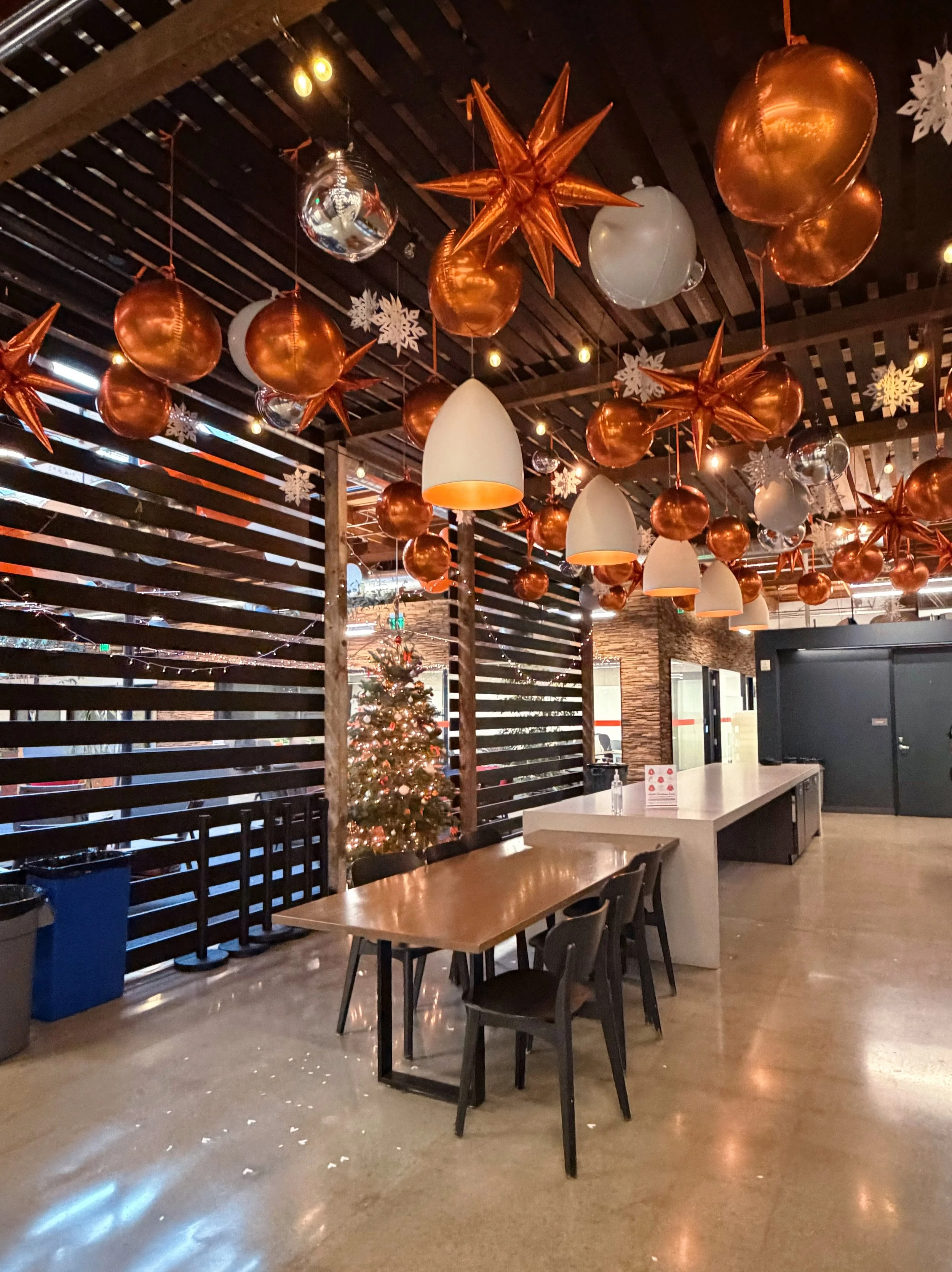 iHealth Holiday Decor