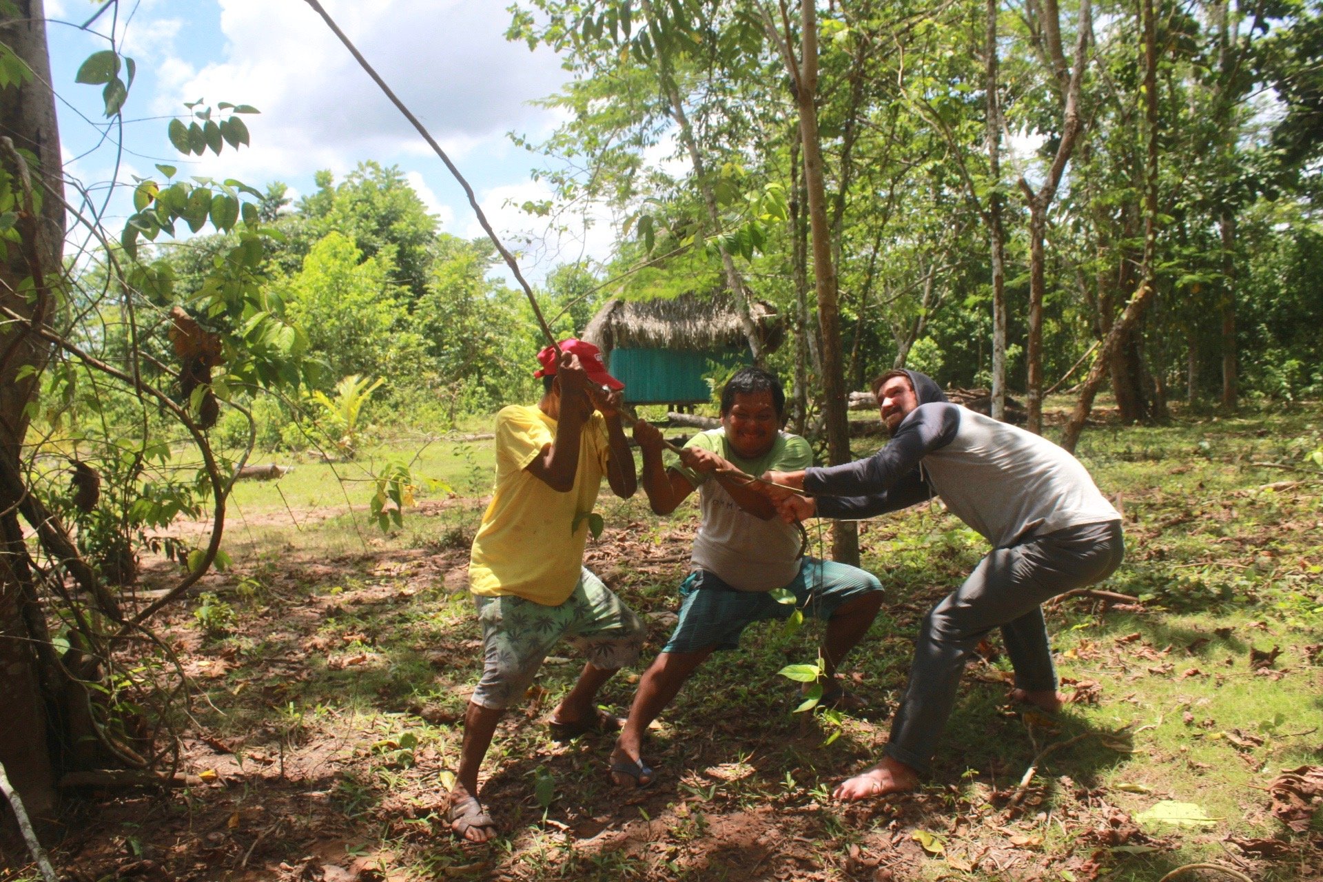 making ayahuasca.jpg