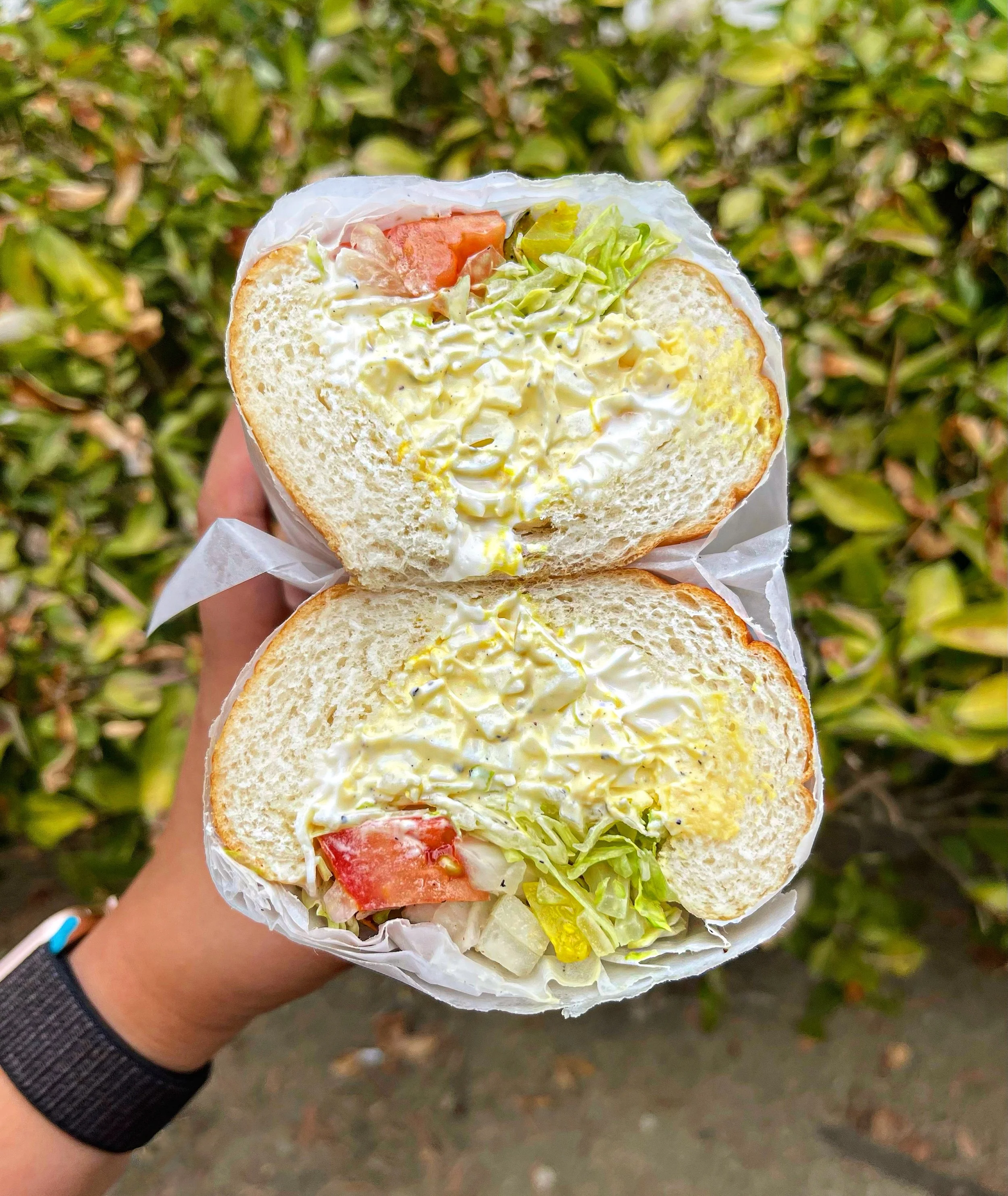 Hungry Bear Deli, Vista, CA