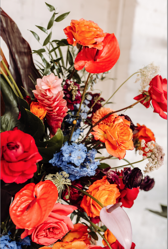 Screenshot 2026-02-22 at 4.50.42 PM.png