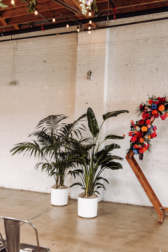 Screenshot 2026-02-22 at 4.48.28 PM.png