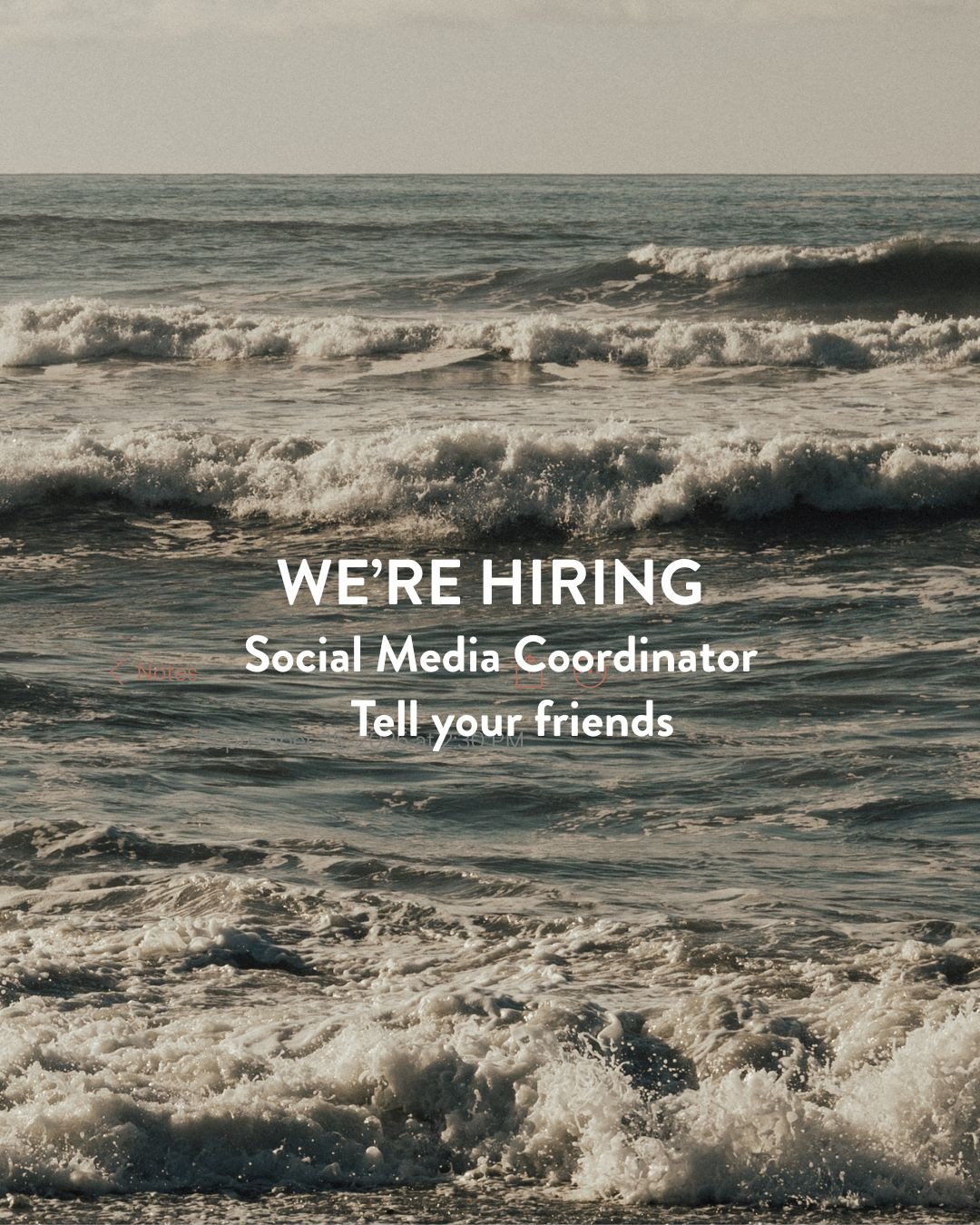 Are you there Southerners? It's us, Firecracker. ⁠
⁠
It's about time to migrate South and we're looking for a new Account Coordinator in that region. If you have 1-2 years of professional social media marketing experience, this miiiiiiight be your gi