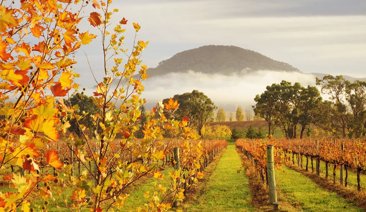 First Ridge Wines First Ridge Wines
