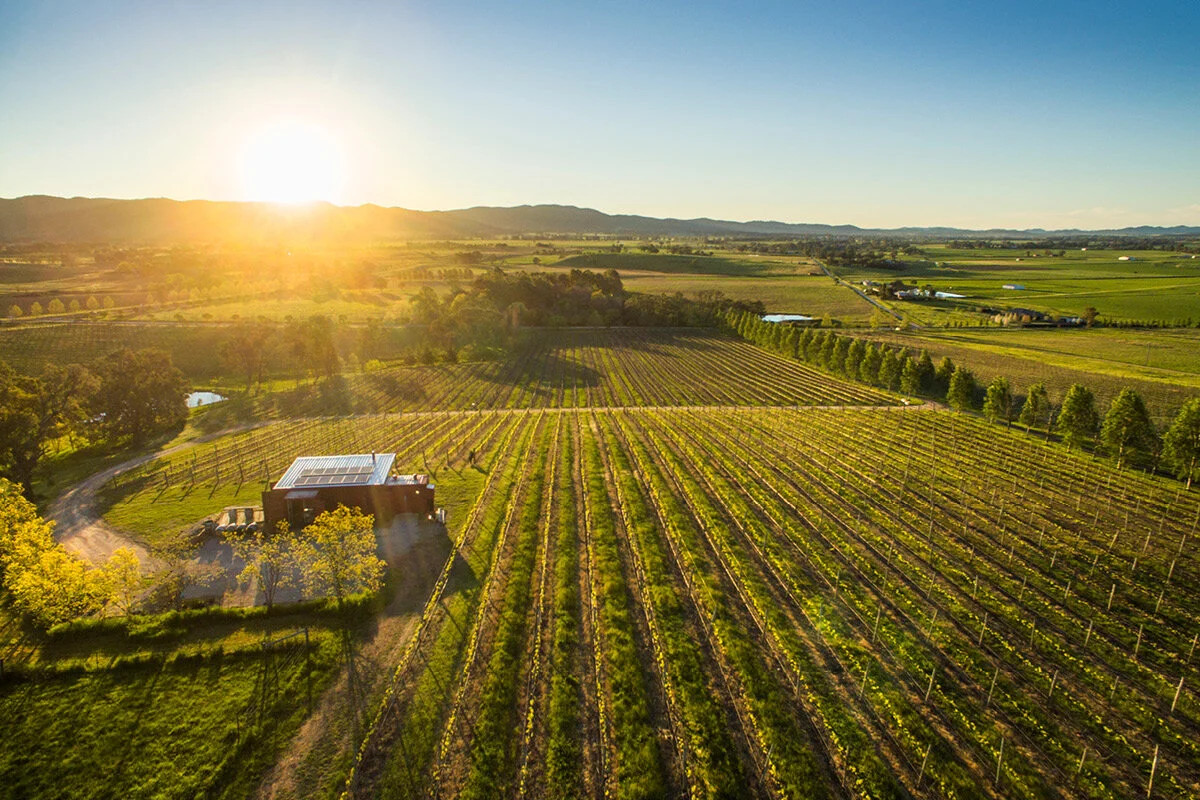 First Ridge Wines First Ridge Wines