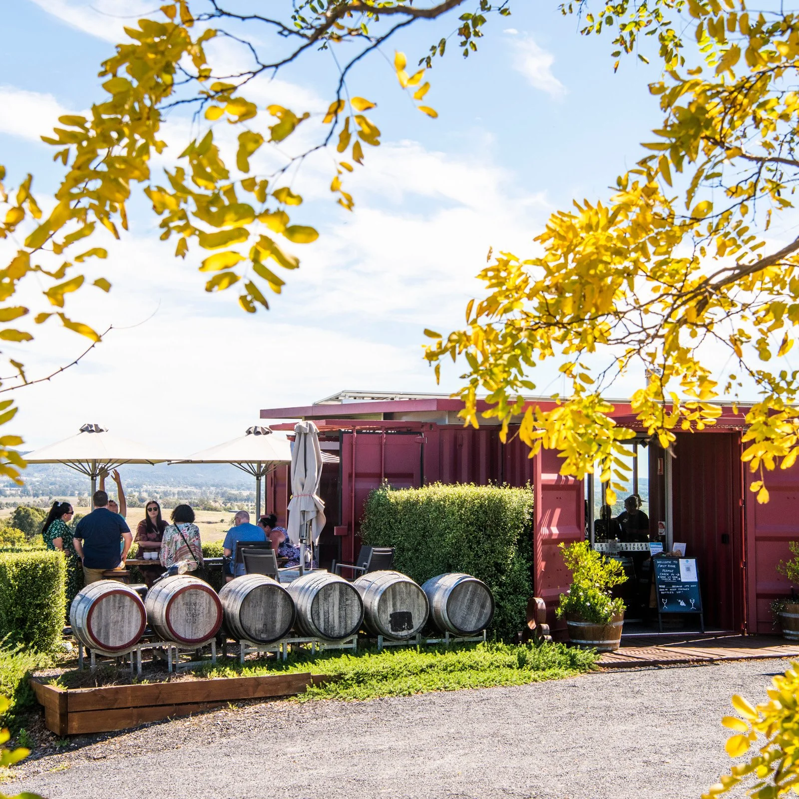 First Ridge Wines VISIT — First Ridge Wines