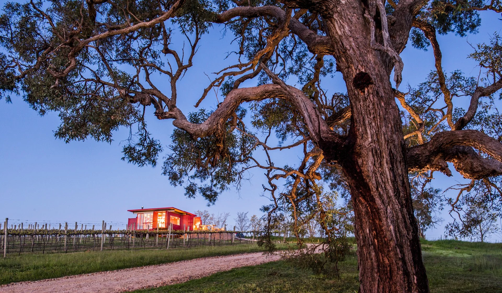 First Ridge Wines VISIT — First Ridge Wines