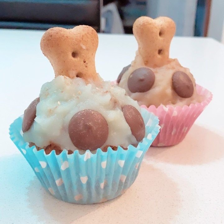 Pupcake+-+Pink+Blue.jpg