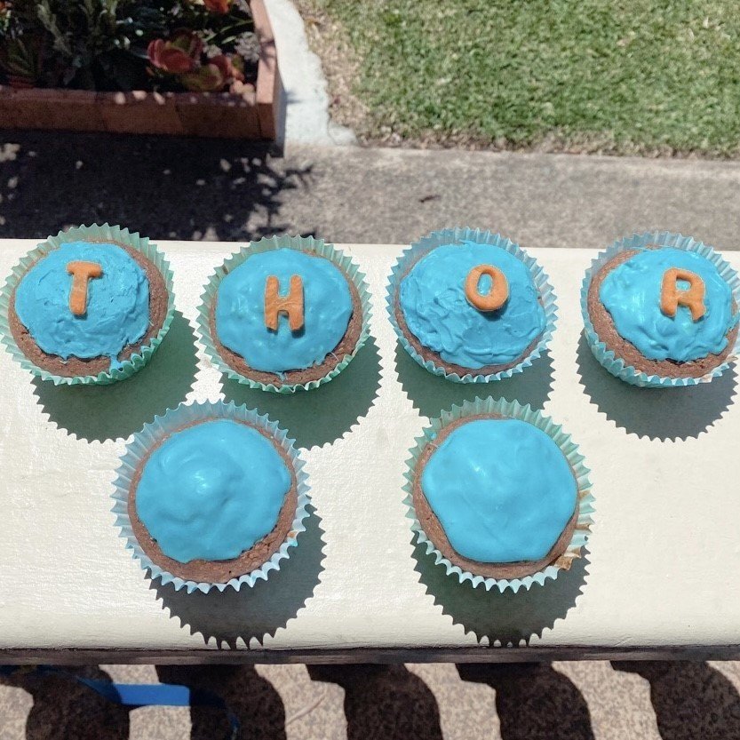 Pupcake+-+Blue+Thor.jpg