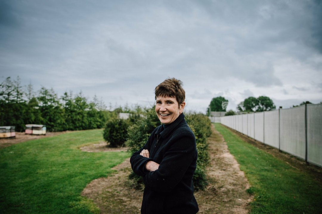 Dianne Downey The Limery Cofounder.png