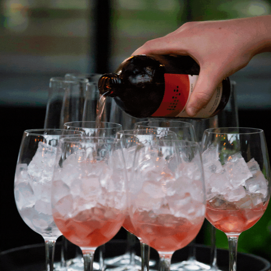 Raspberry Non-Alcoholic Spritz Rosé