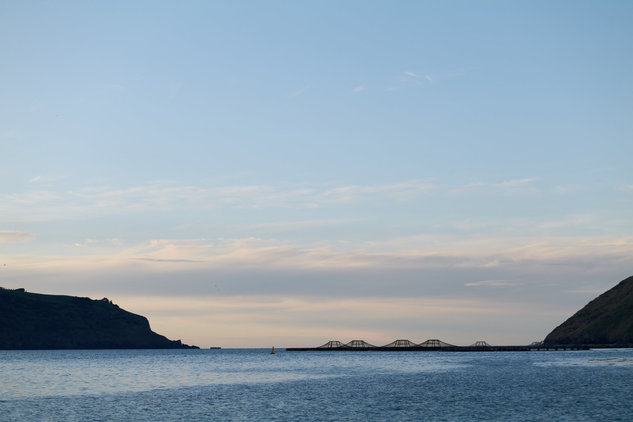 Akaroa King Salmon Farm looking towards the Southern Ocean.jpg