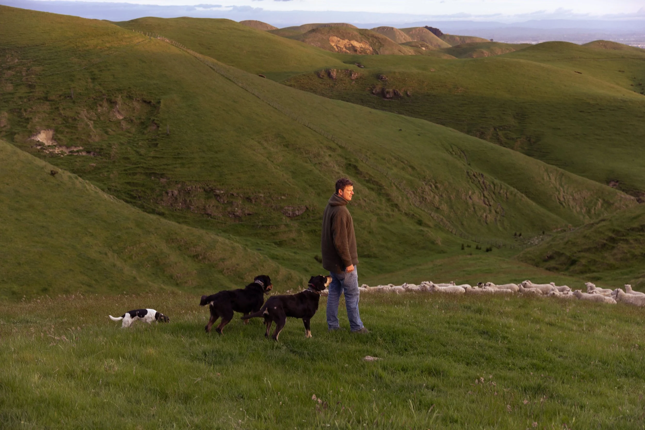 Jamie from Matangi Prime Meats working the farm.jpeg