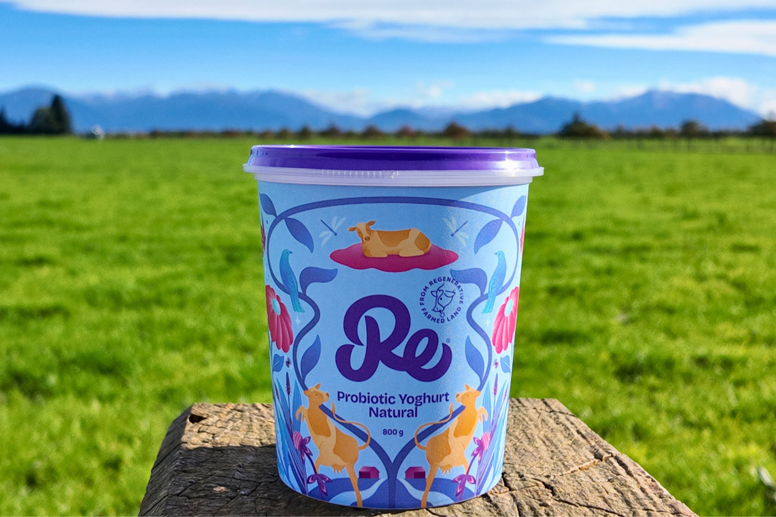 Re Dairy Probiotic Yoghurt, Natural.png