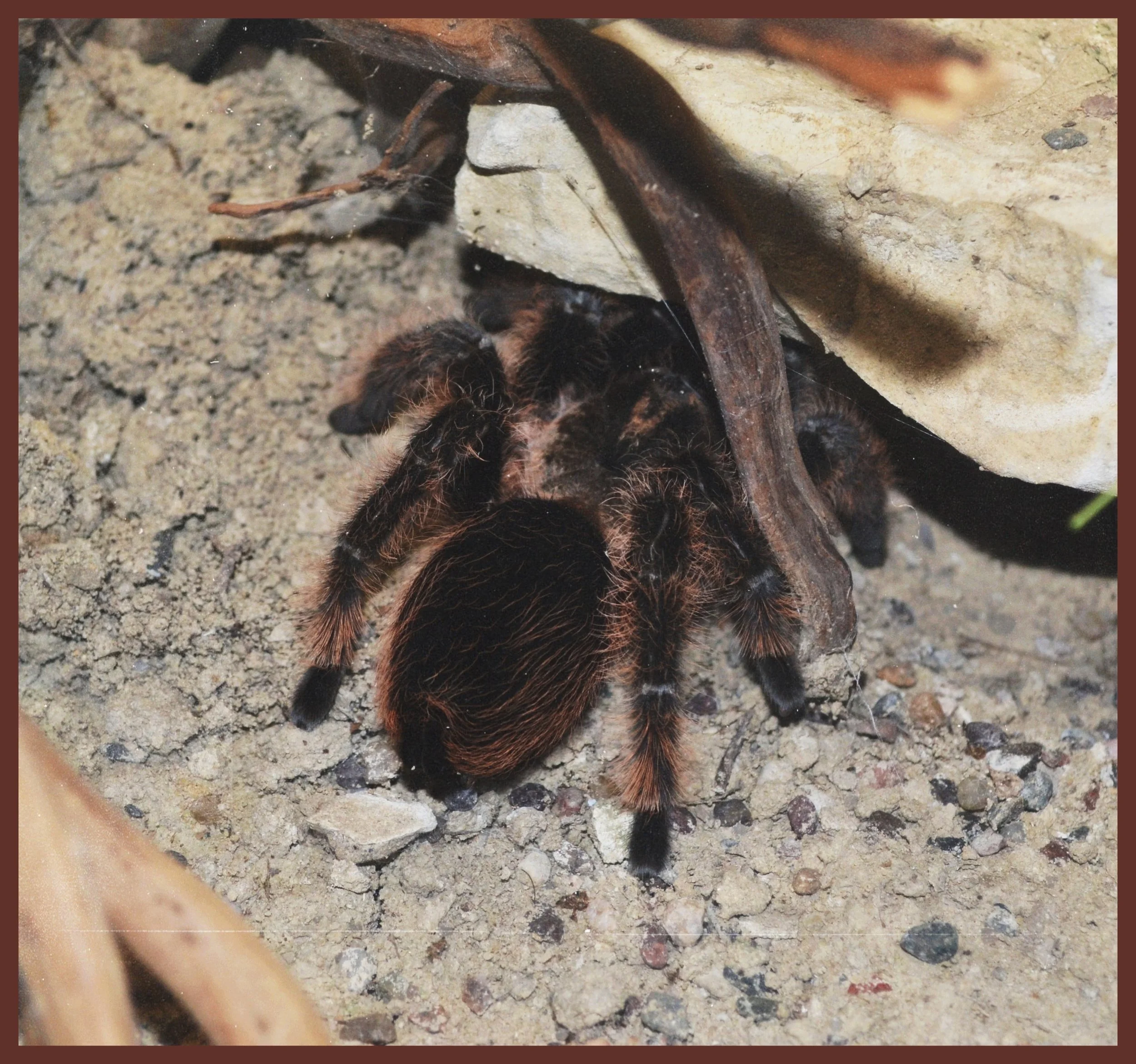 AfterlightImage 57.JPG