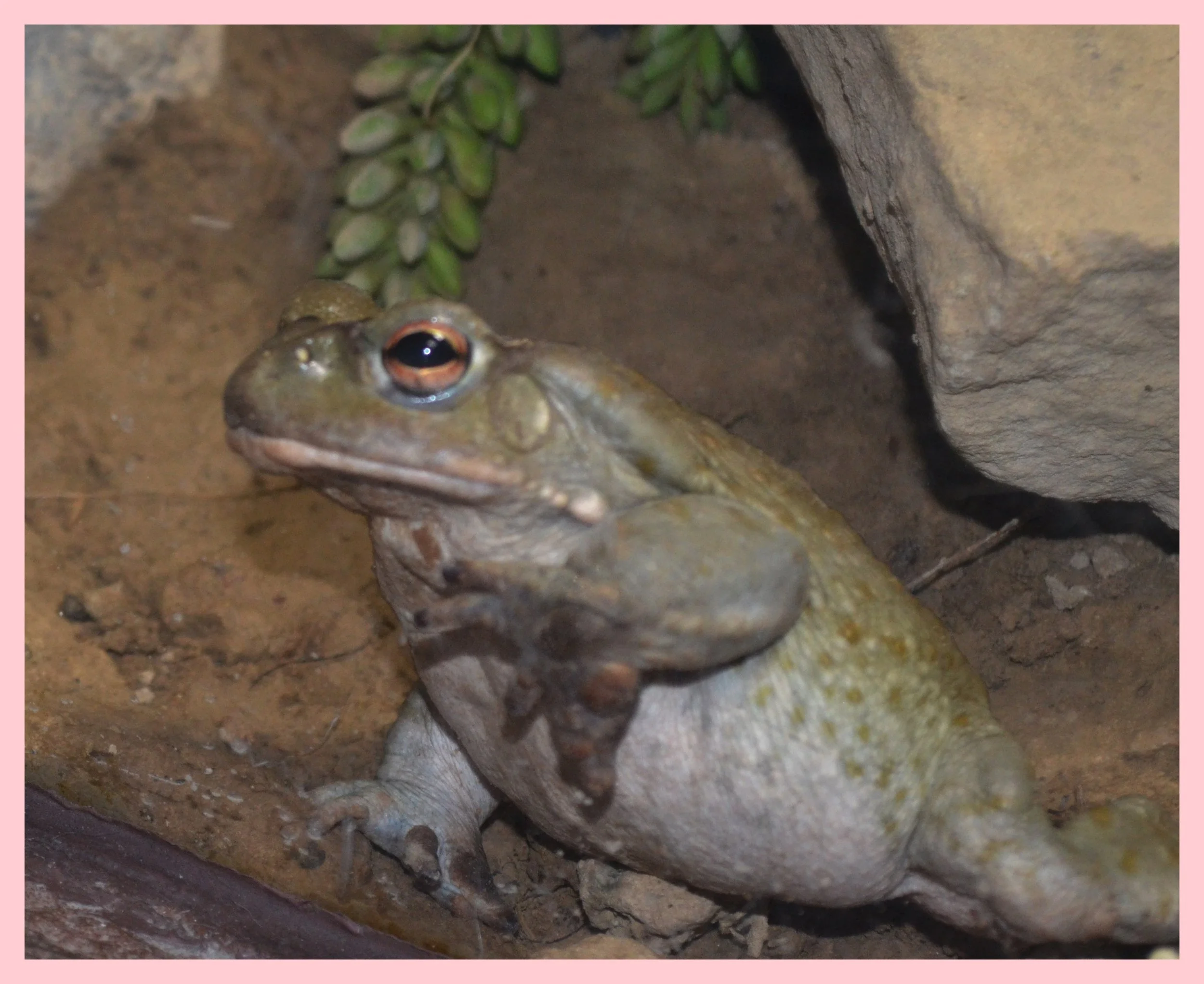 AfterlightImage 58.JPG