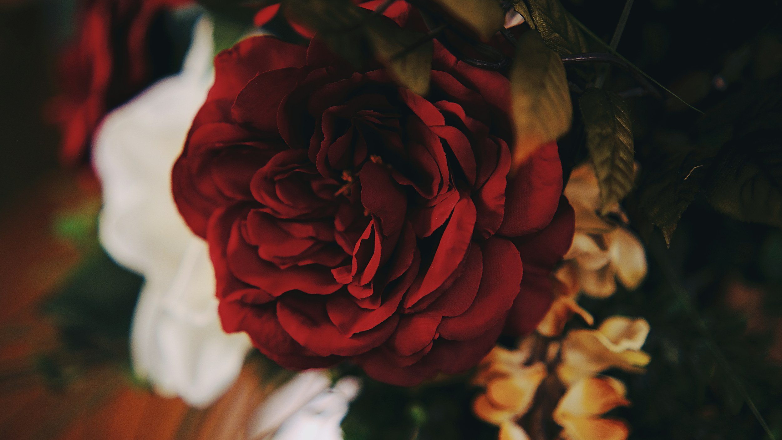 unsplash-image-UK2H3n39Omk.jpg