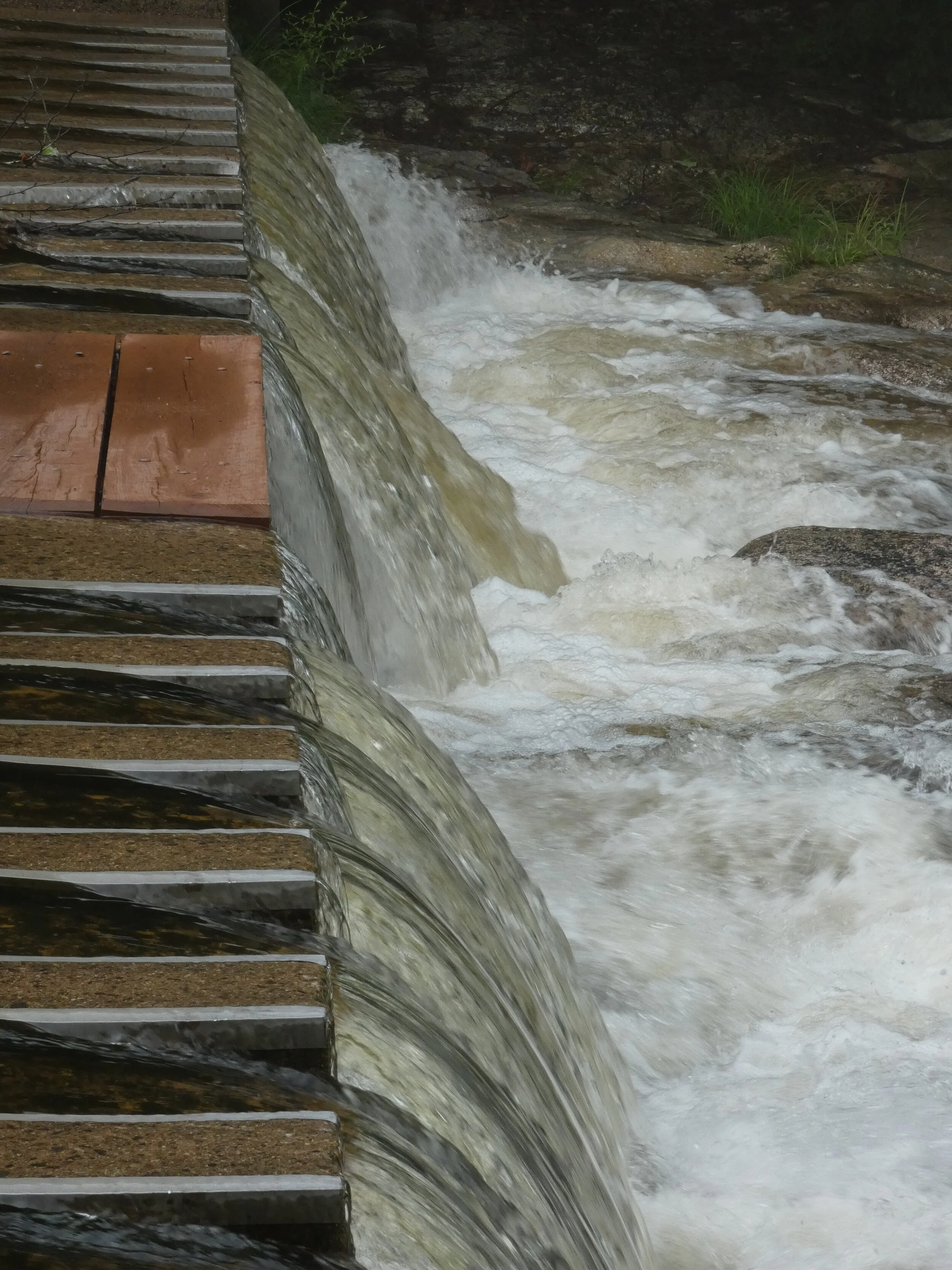 2021-07-09 Cold River after TS Elsa-2.JPG