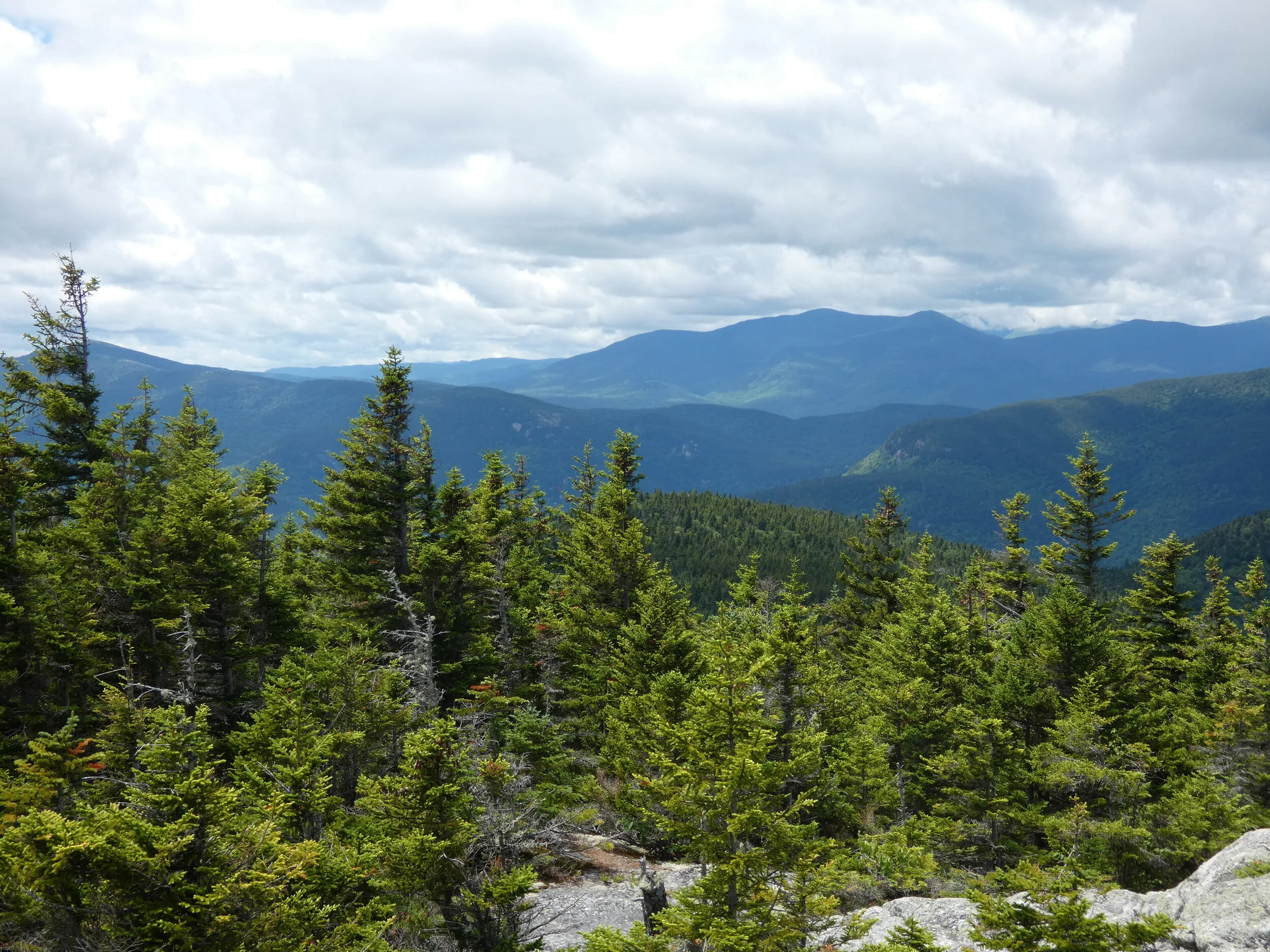 2021-07-05 View from Speckled Mtn-2.JPG