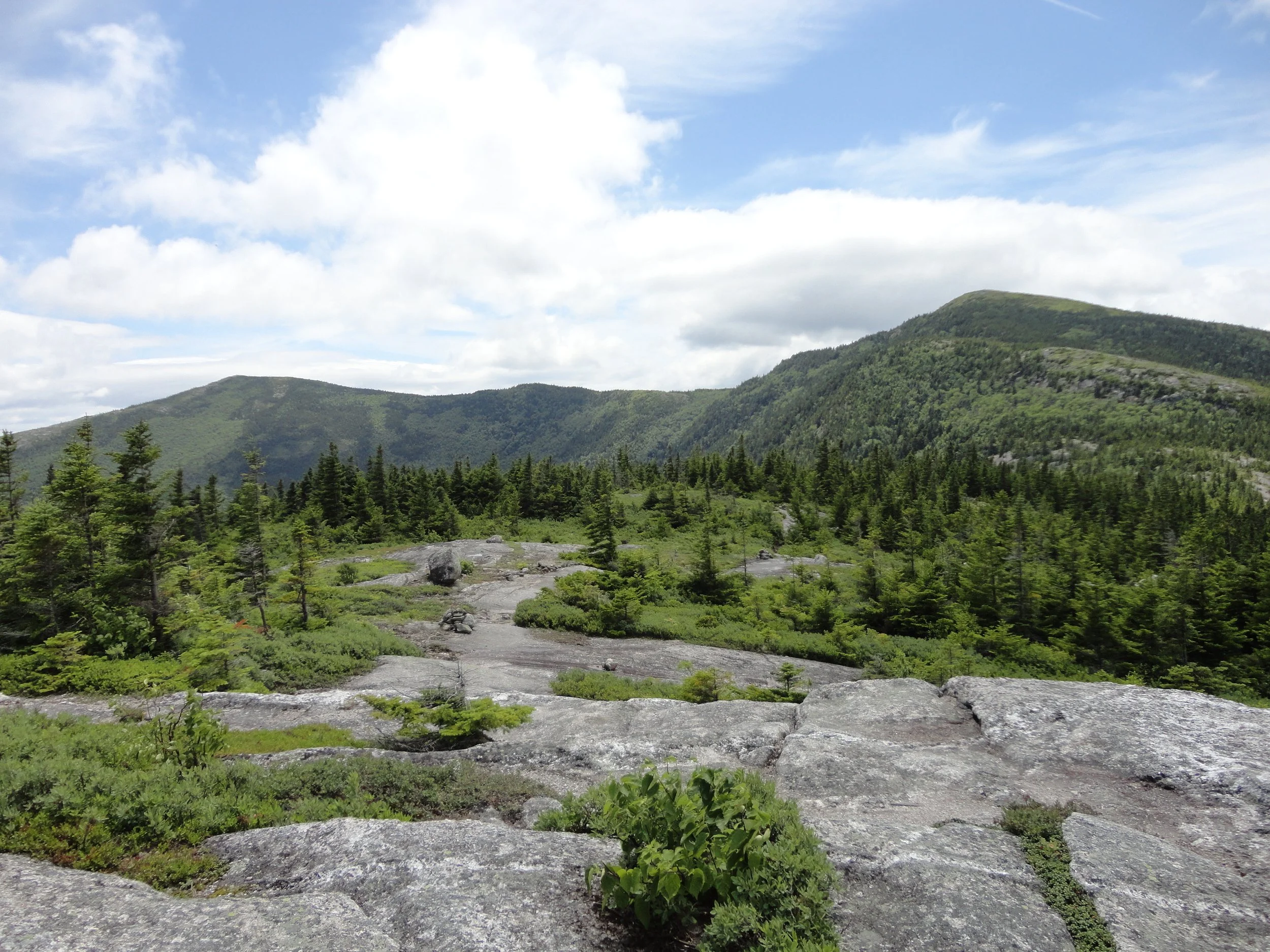 Baldface S and N.JPG