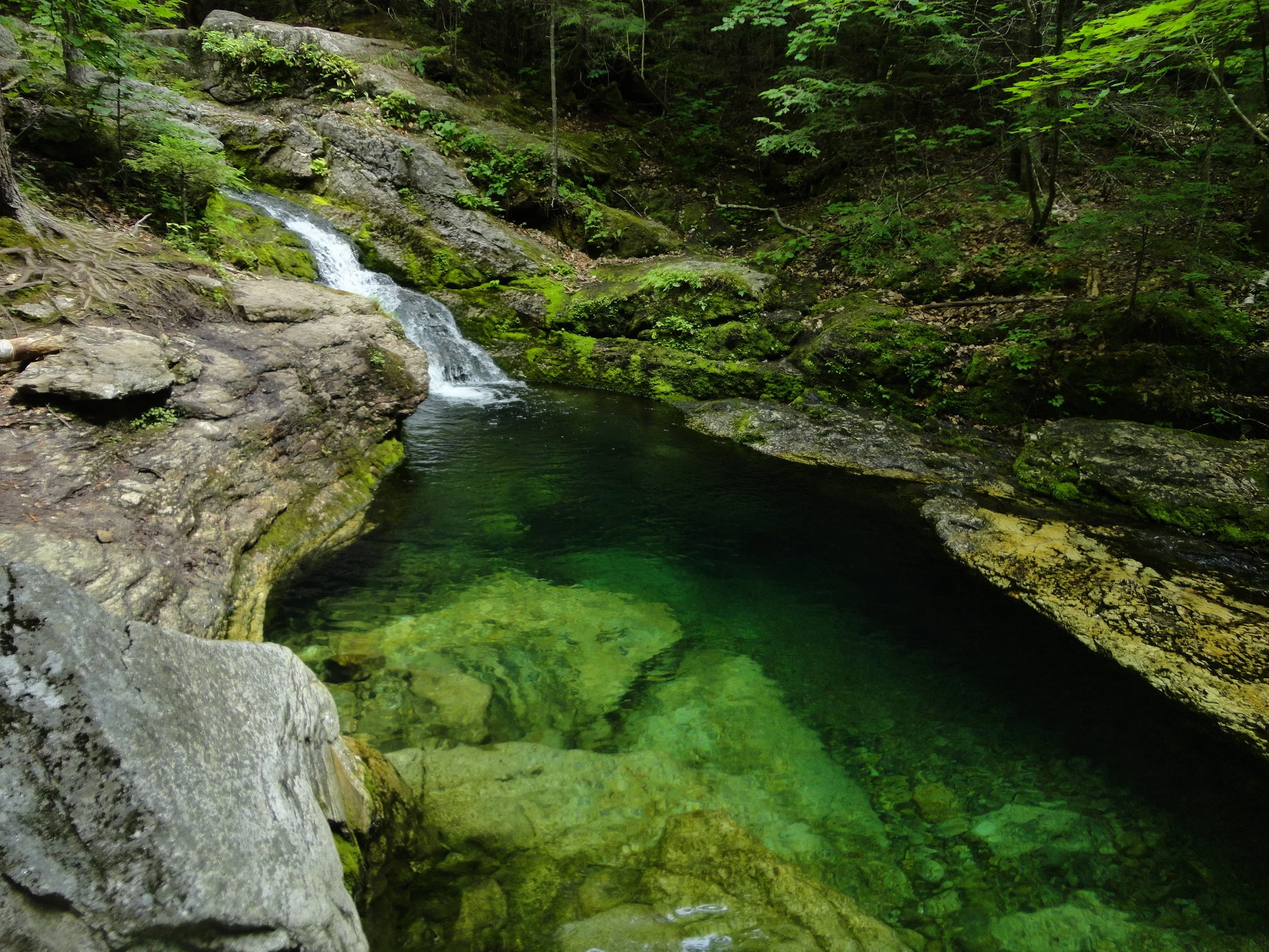 Rattlesnake Pool-1.JPG