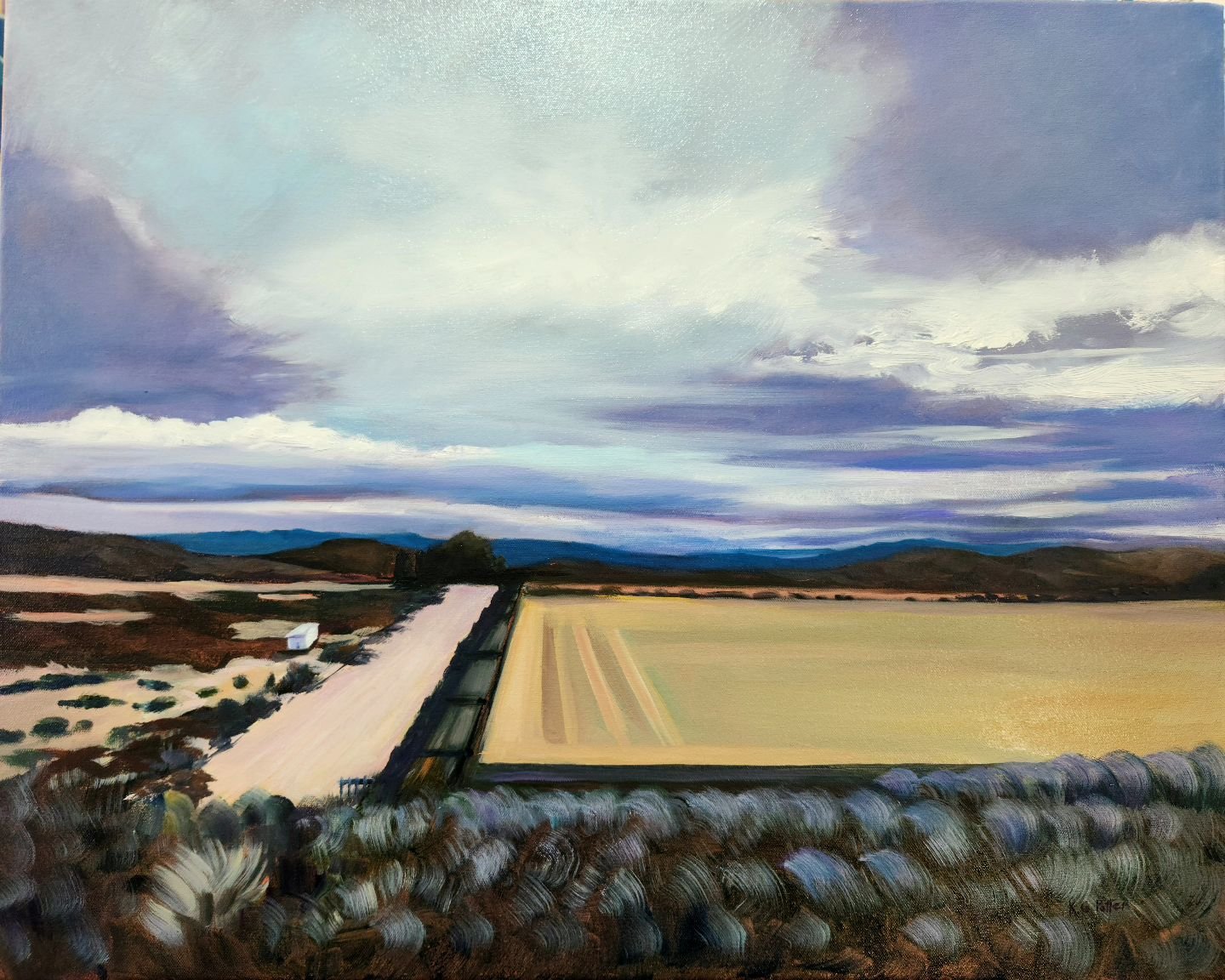 &quot;Cloud Divide&quot;
Oil on canvas 
24x30 

The clouds across the fields here in Susanville are an endless source of inspiration. 

#cloudpainting #cloudpaintingoverfields #oilpaintinglandscapes #californialandscapepainting #karenpotterpainter #a