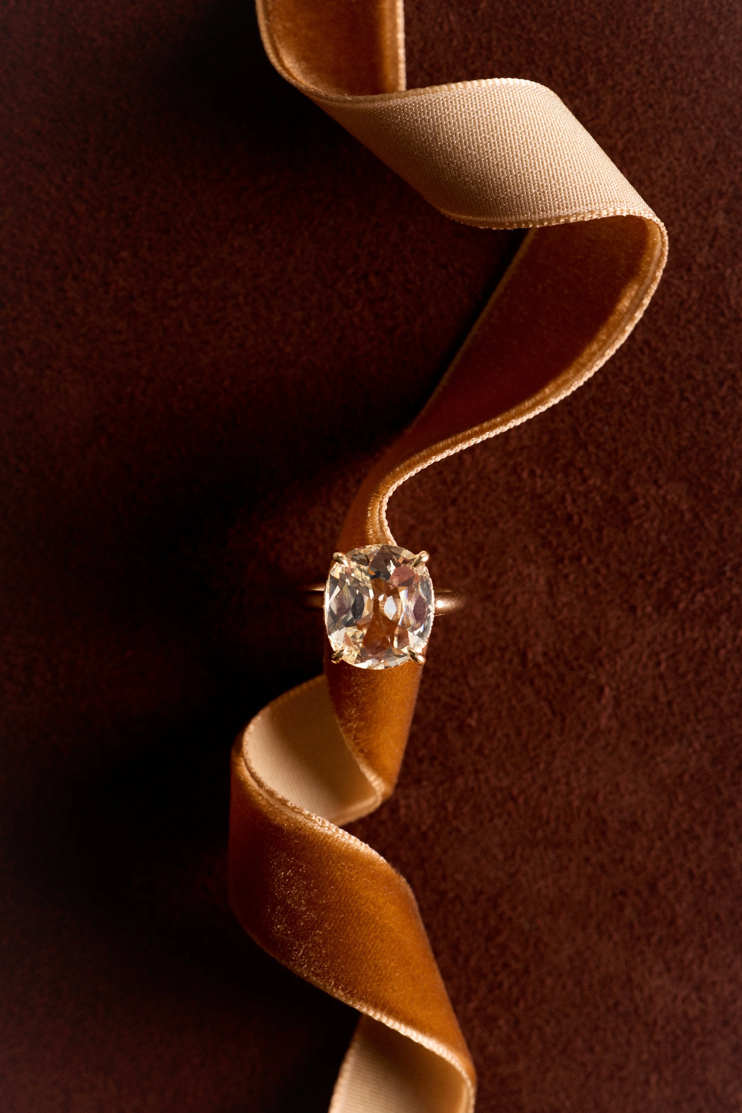 Solaire_FW26_Retouched_Web_1.jpg
