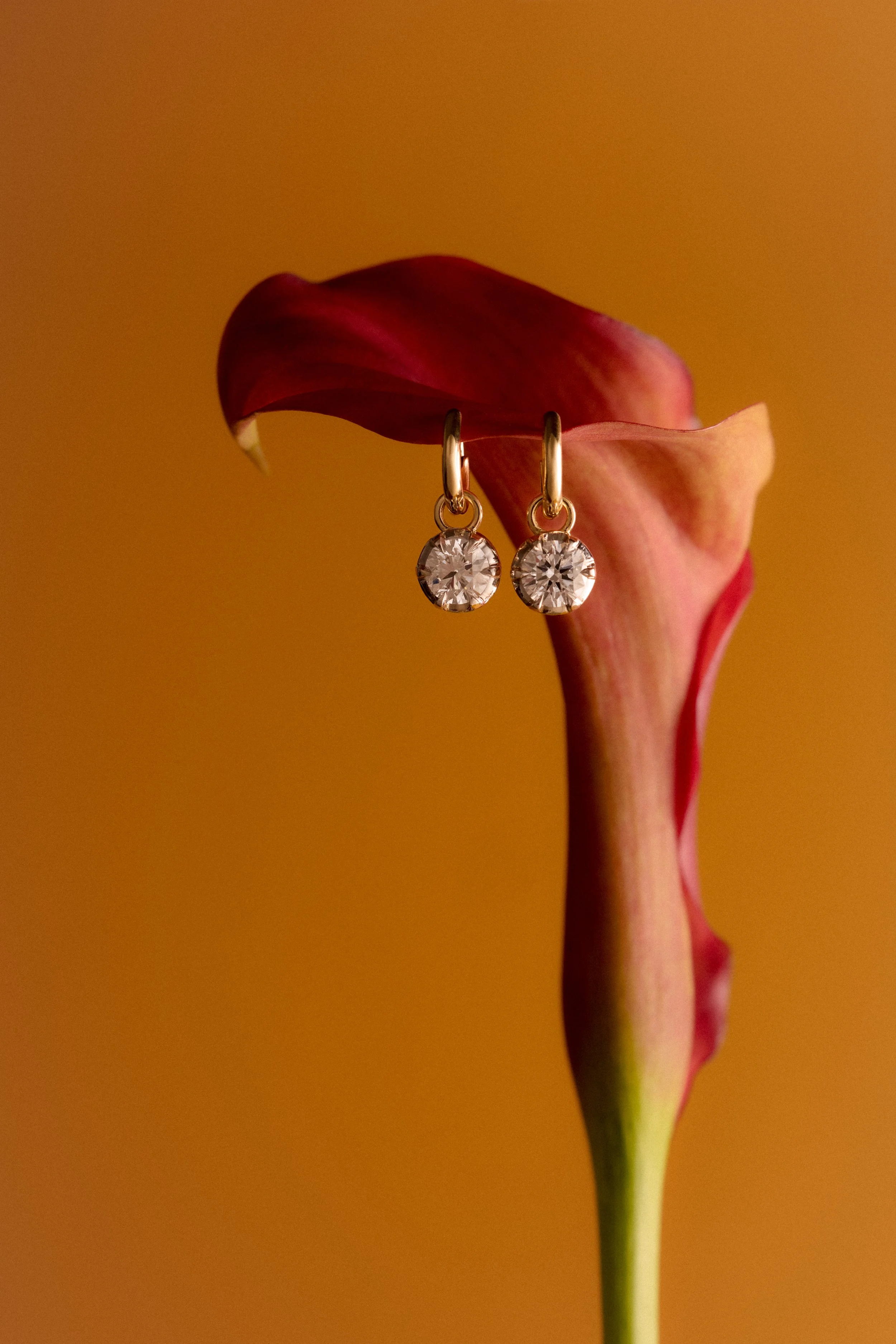 Solaire_FW26_Retouched_Web_2.jpg