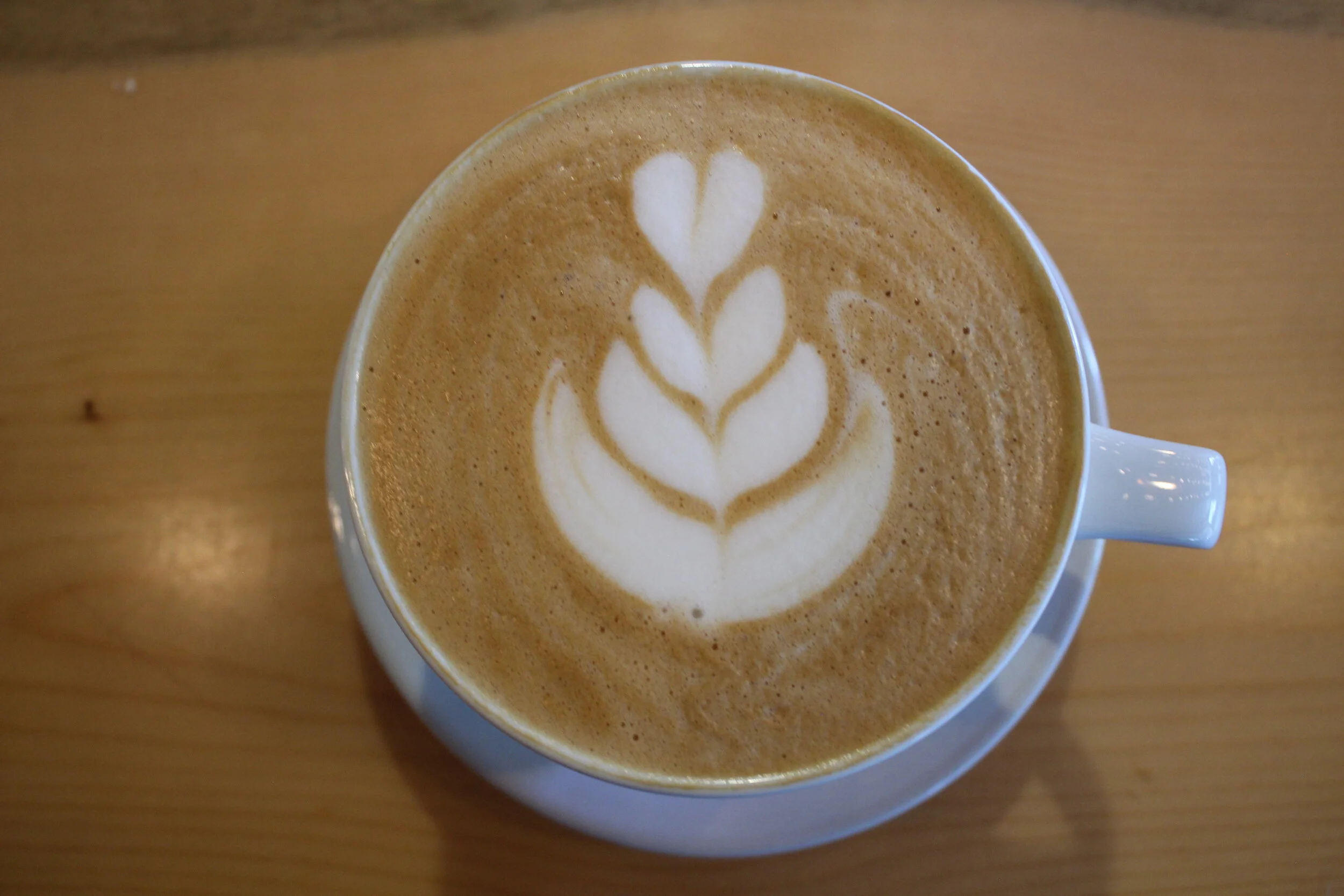 Bird Tree Cafe