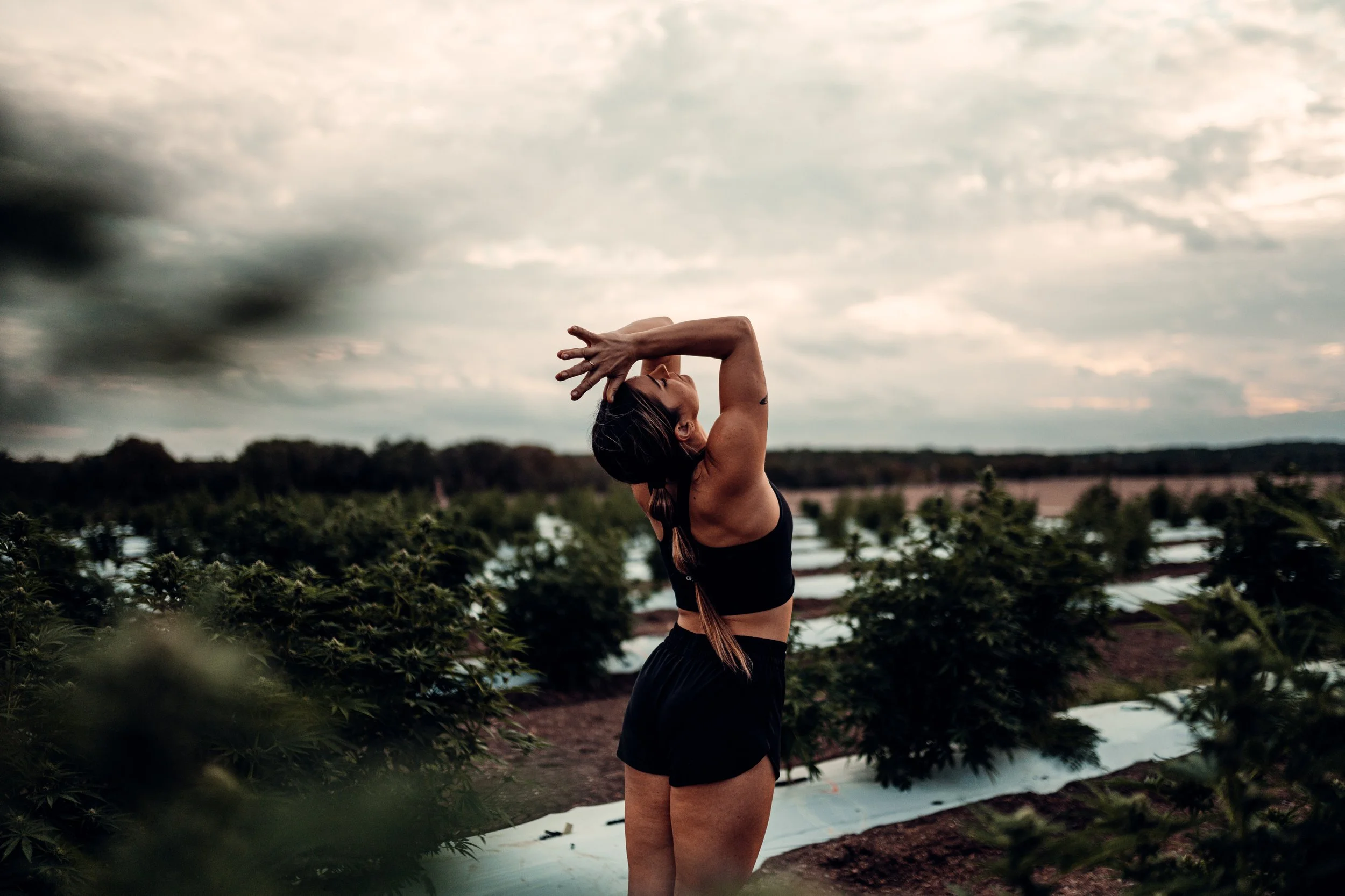 INFUSED FLOW @ BLACK SWAN