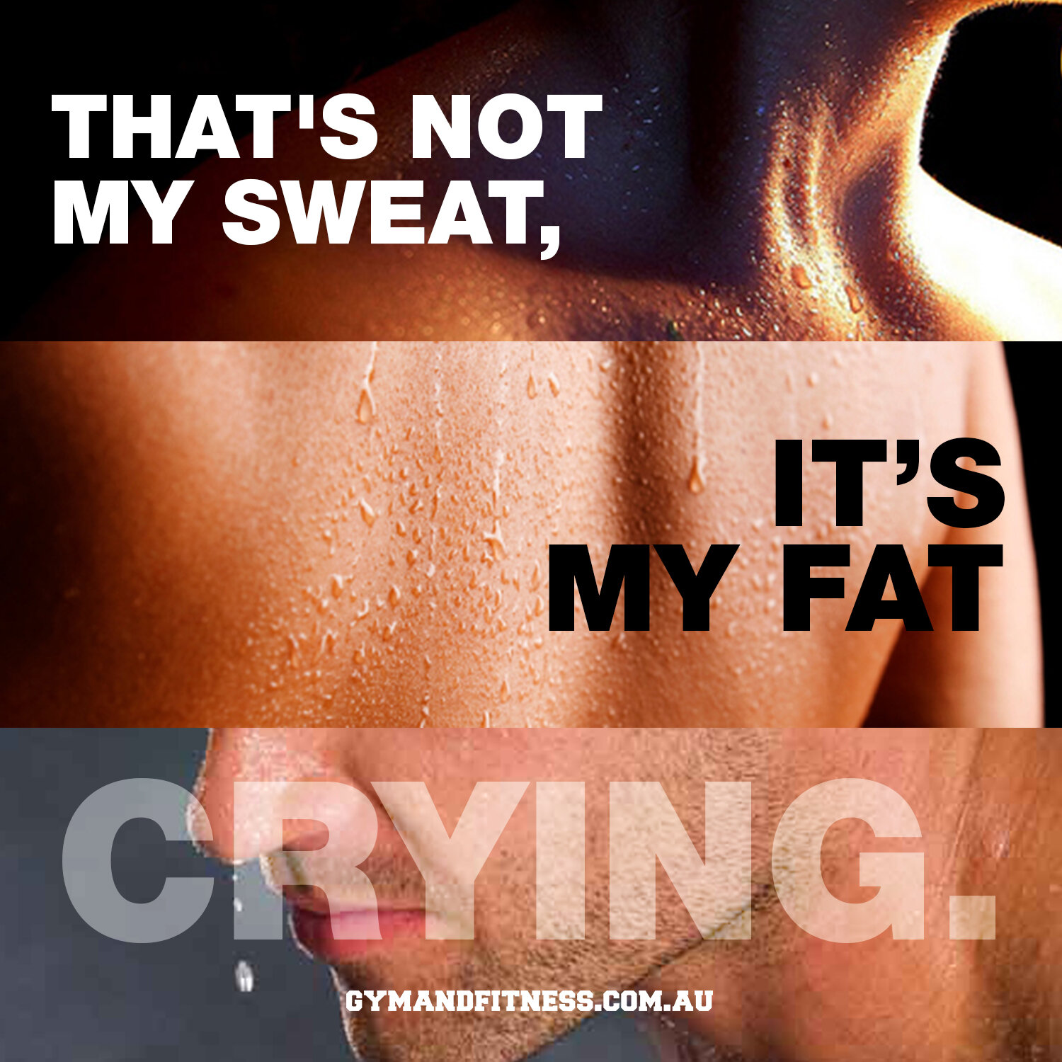 BODY 19.jpg
