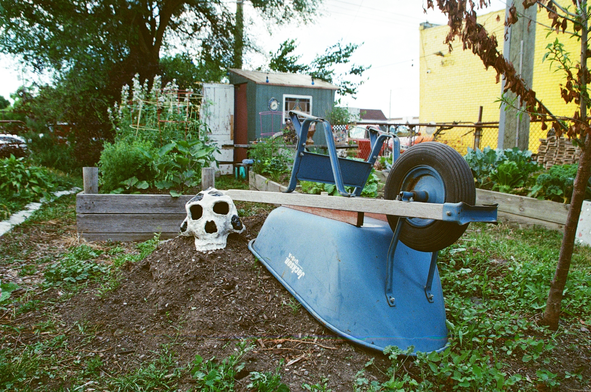 IMG_0032.PNG