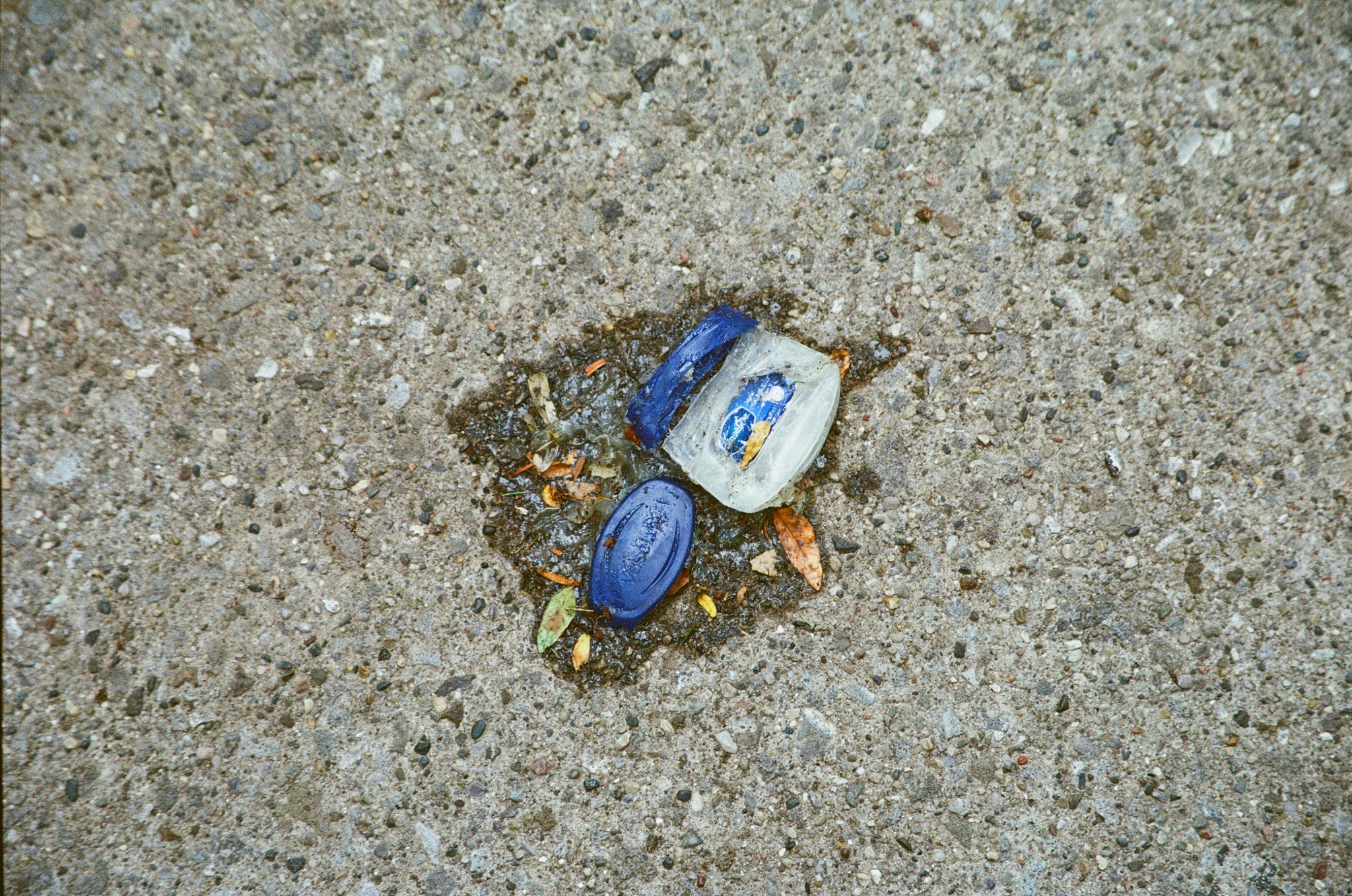 IMG_0062.PNG