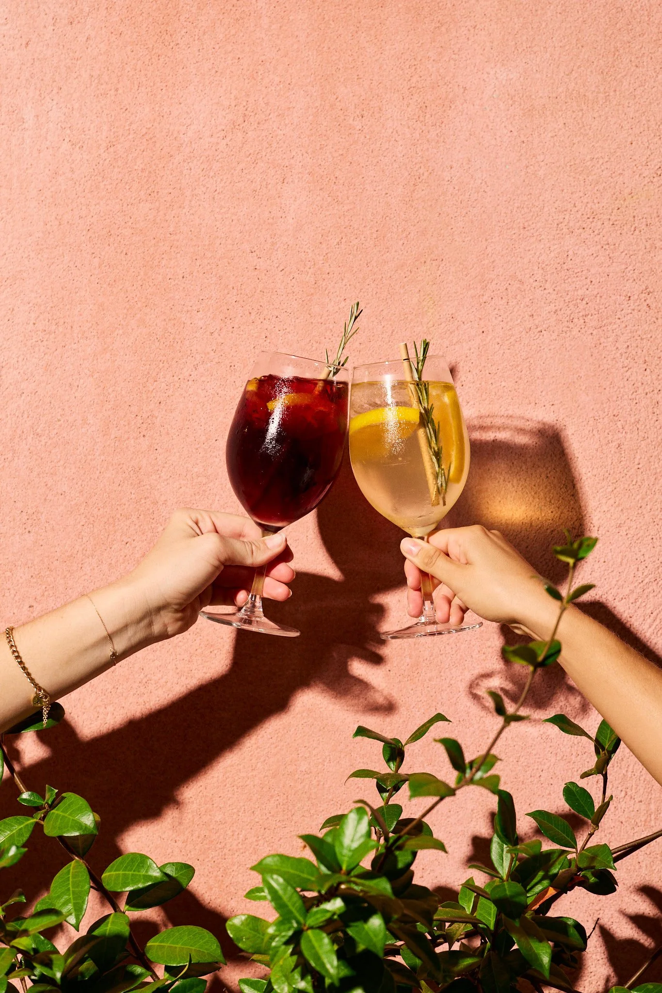 Two hands hold glasses of cocktails with lemon, rosemary garnishes, set against a pink wall with shadows and green plants.