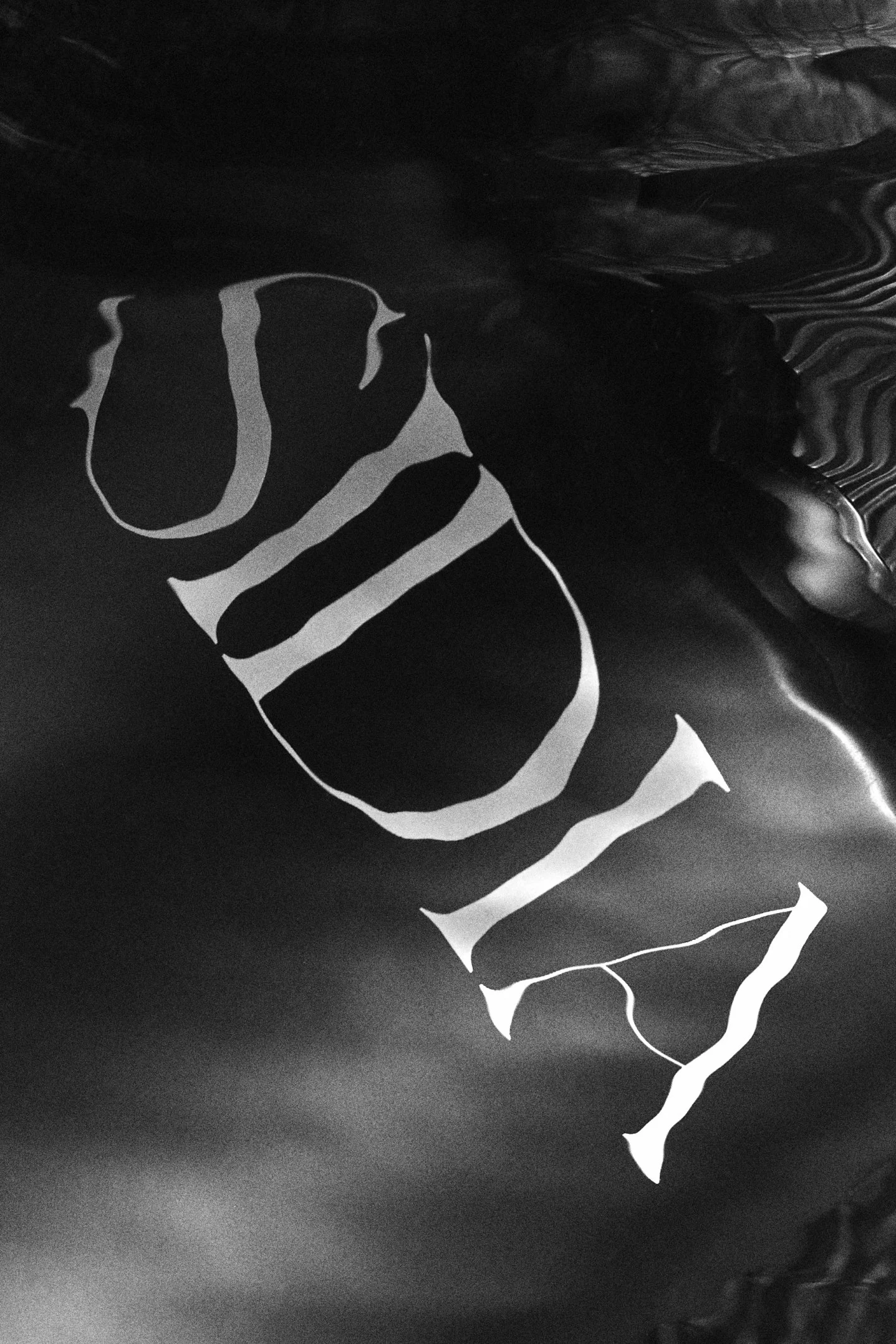 sawtelle_sidia 3.jpg