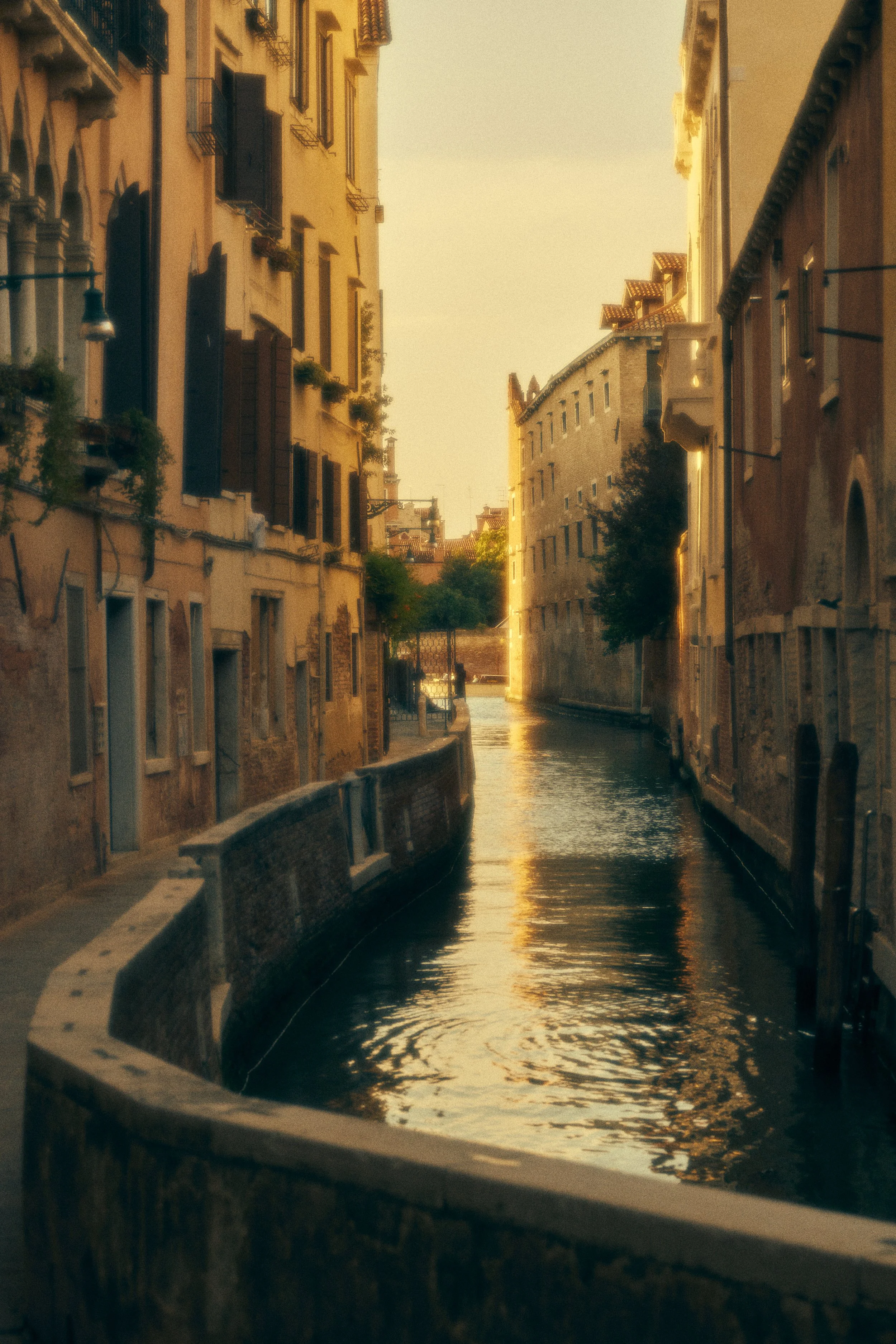 Sawtelle_venice.jpg