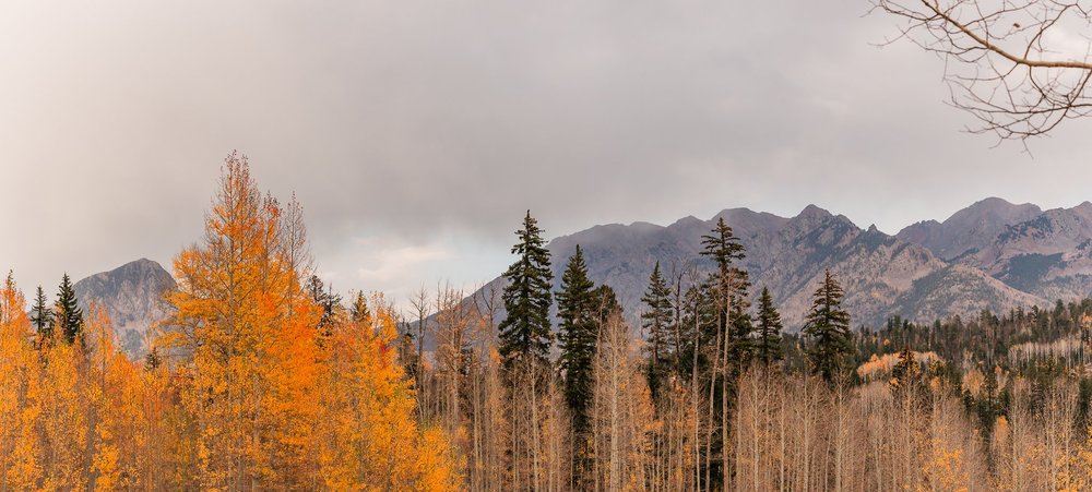 Sydnee&Nate'sWeddingWeb-87 copy.jpg