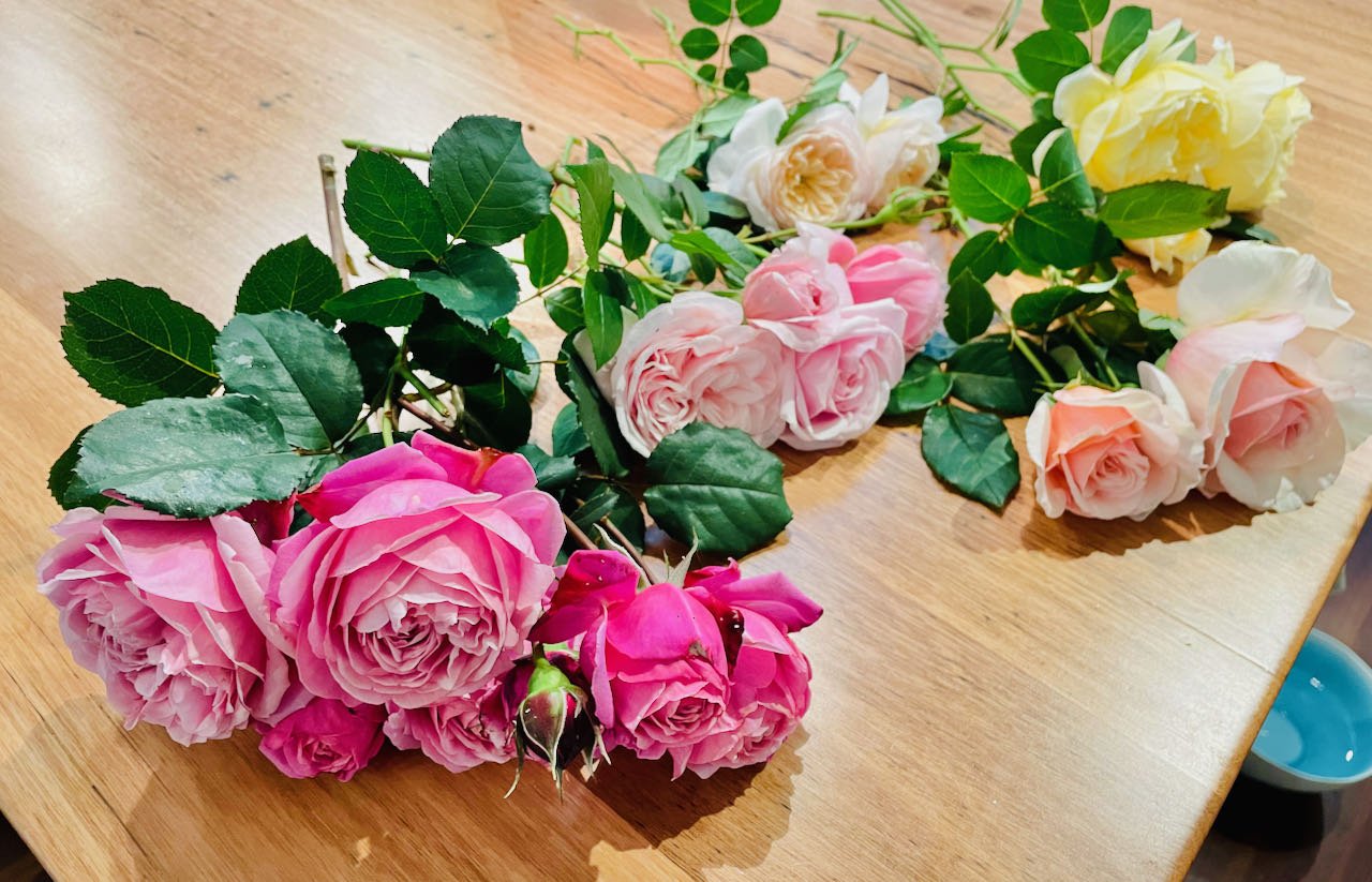 September’s Abundance of Roses